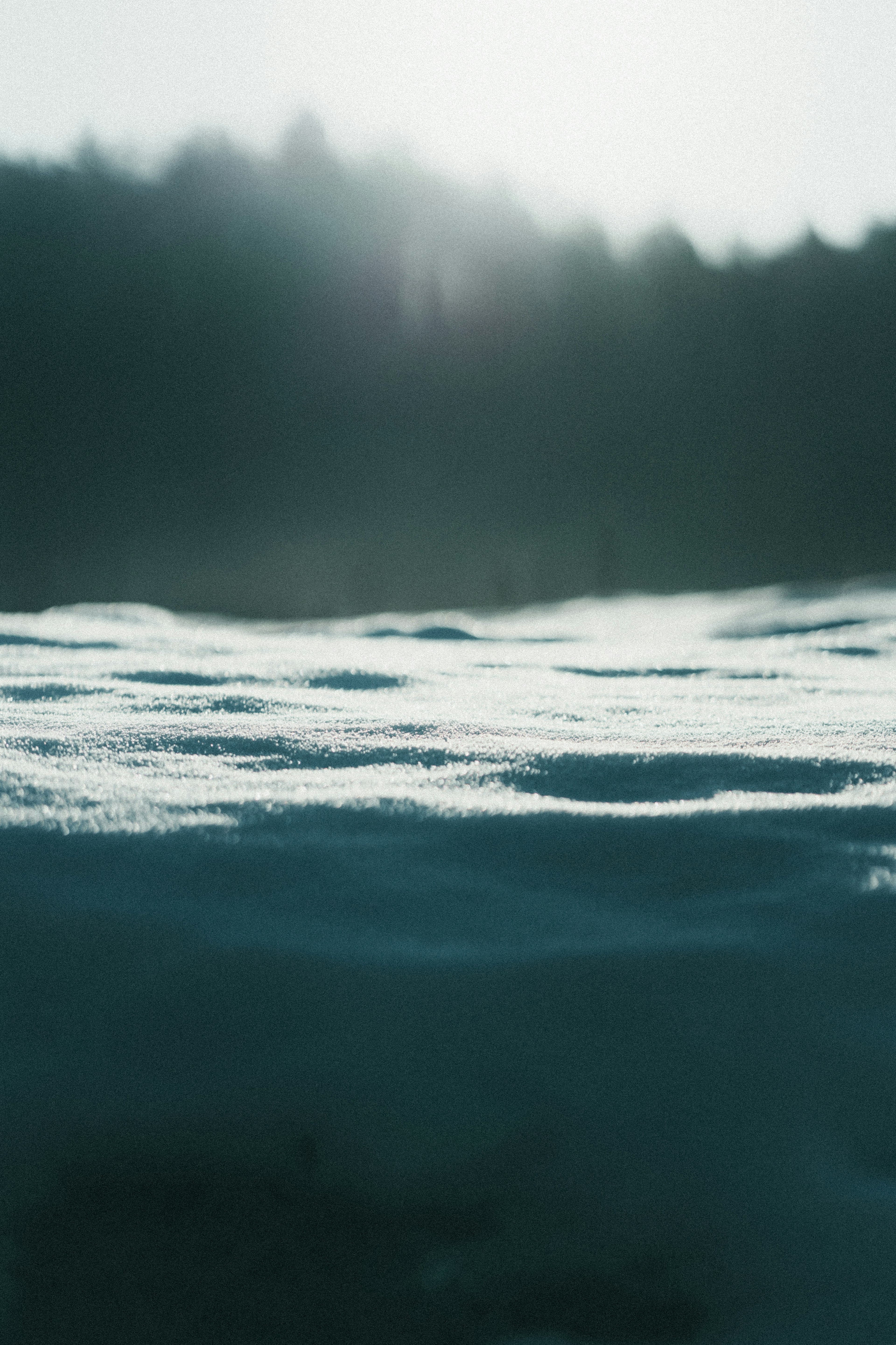 Winterlandschaft mit Schneedecke und dunkler Waldsilhouette im Hintergrund