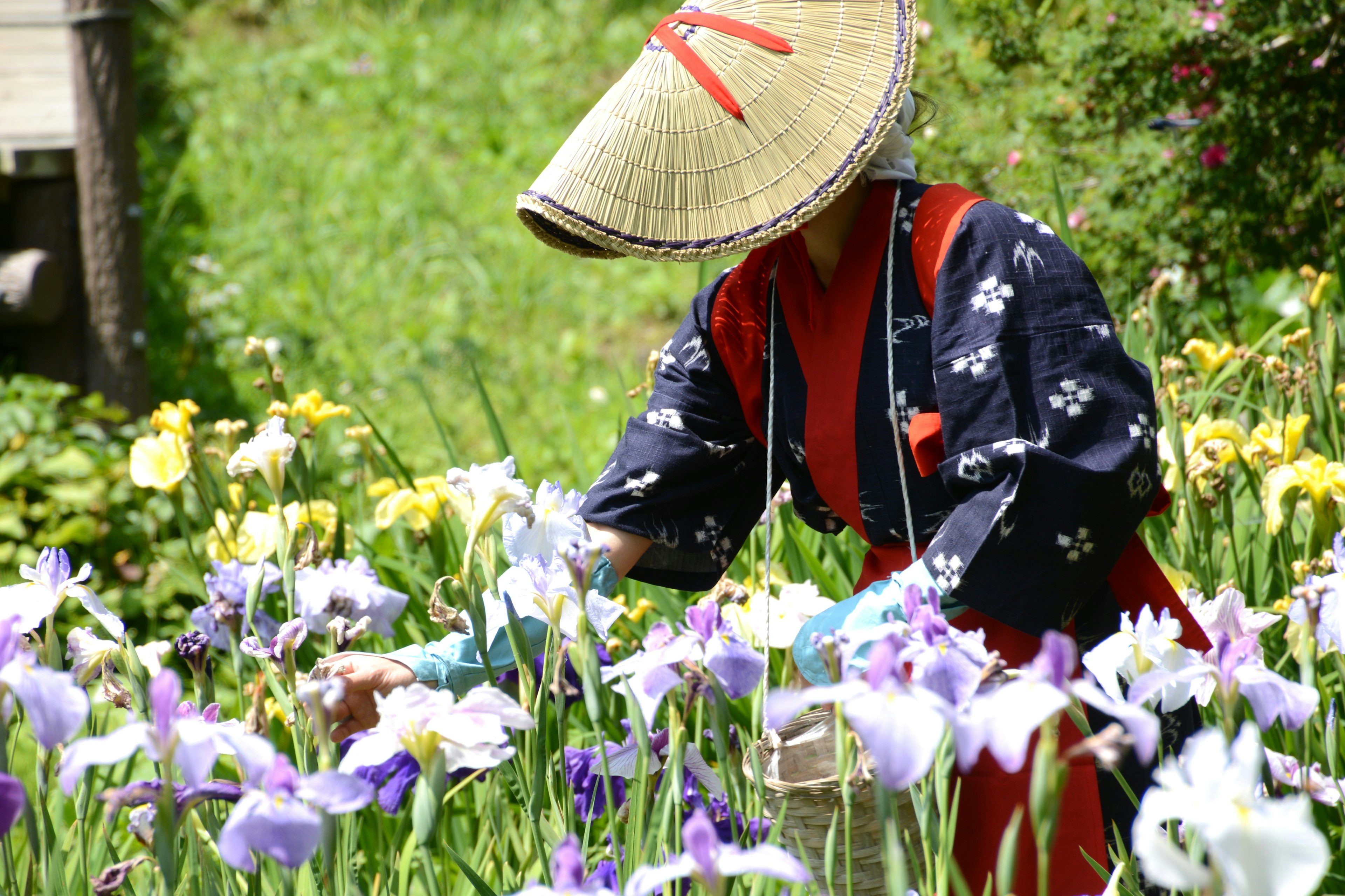 Femme en vêtements traditionnels travaillant dans un jardin de fleurs