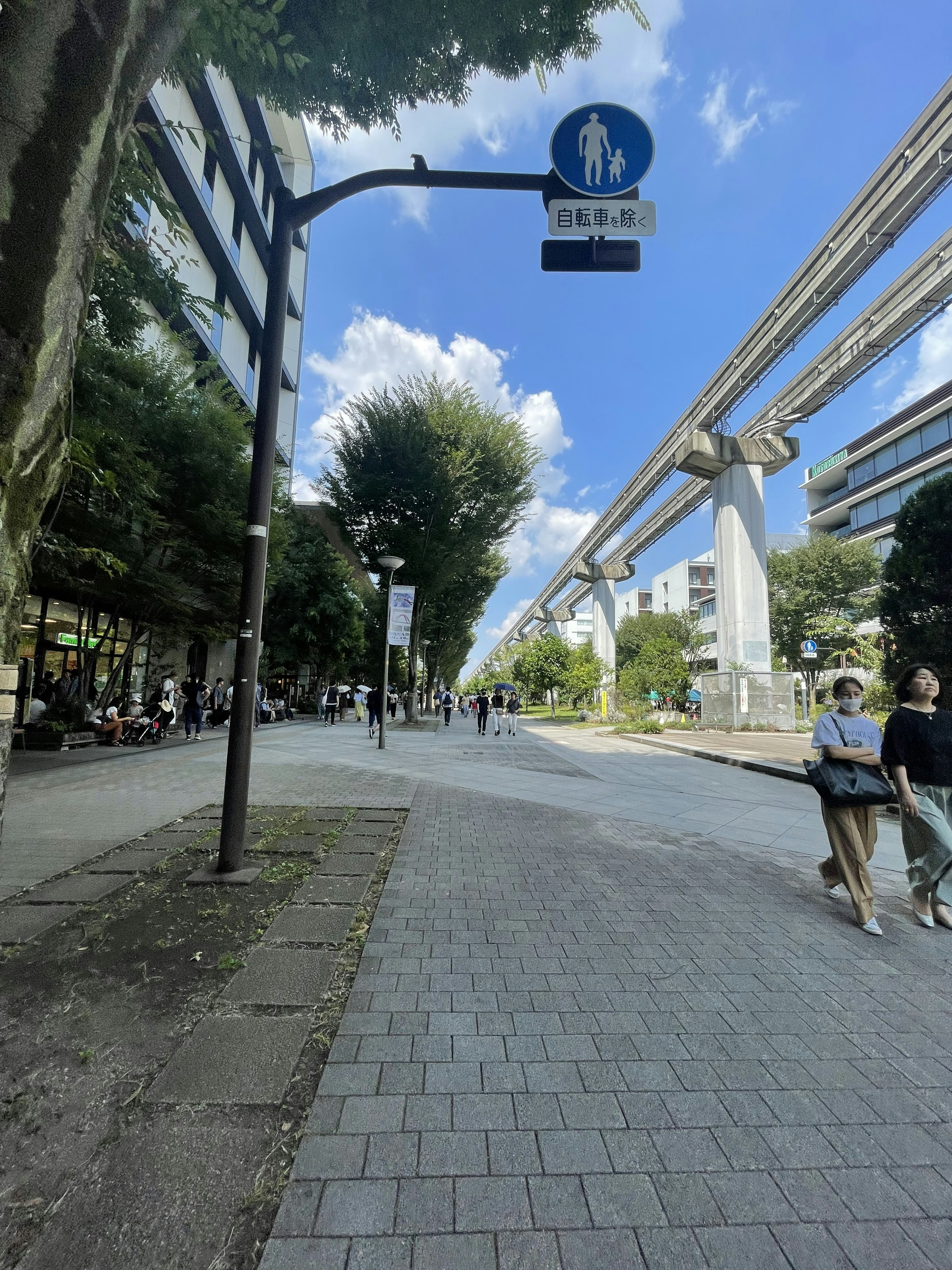 Urban street scene with a monorail above and blue sky with green trees