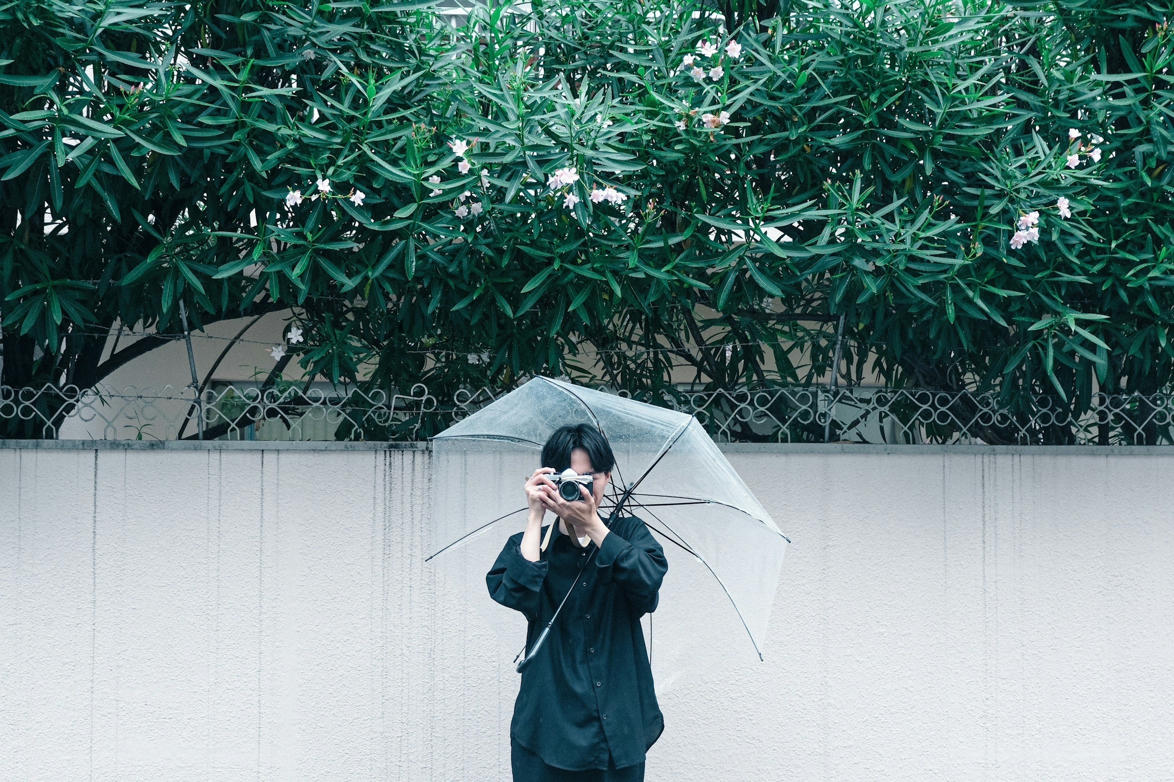 Personne tenant un parapluie et posant avec un appareil photo devant un feuillage vert