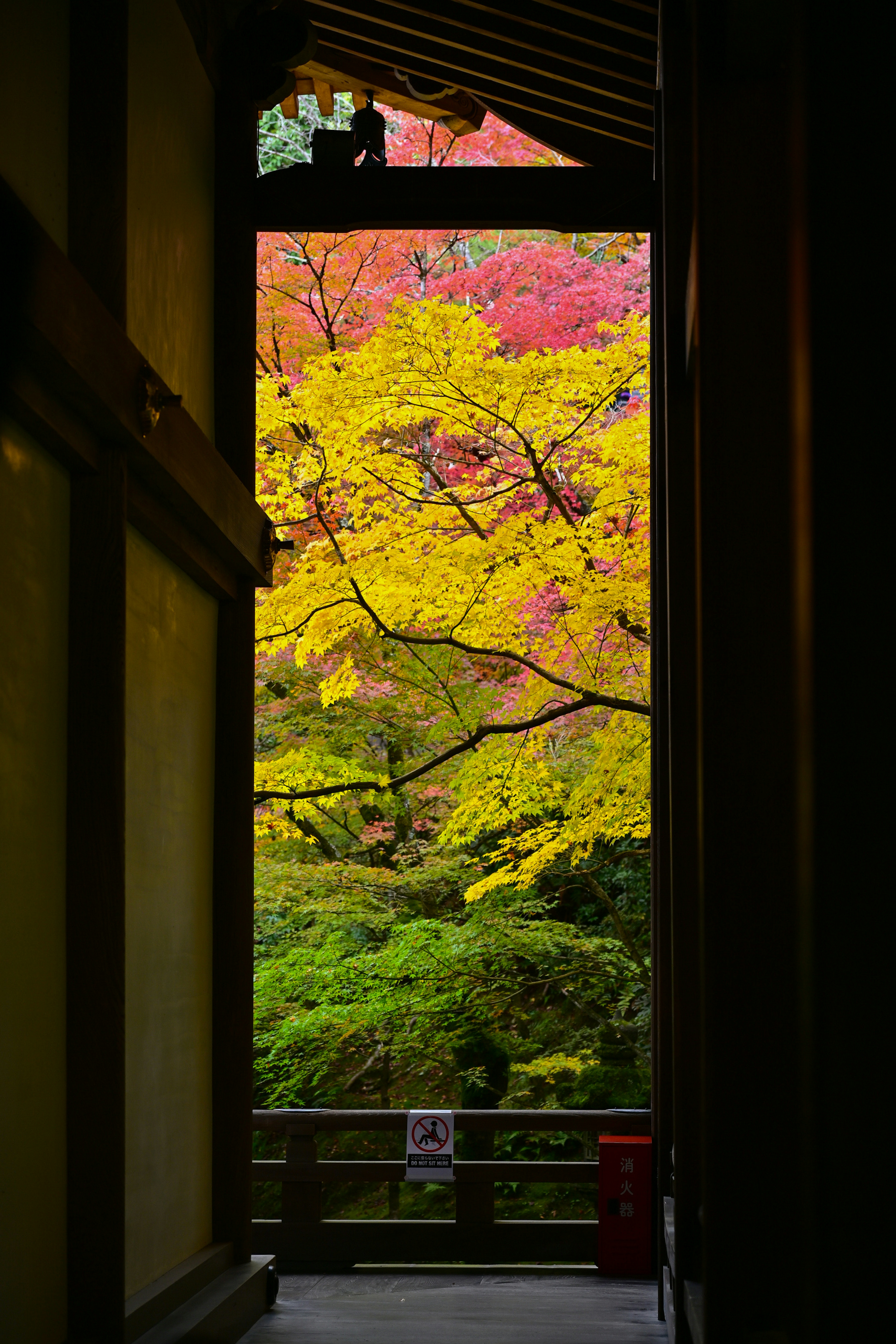 秋の紅葉が美しい日本の風景