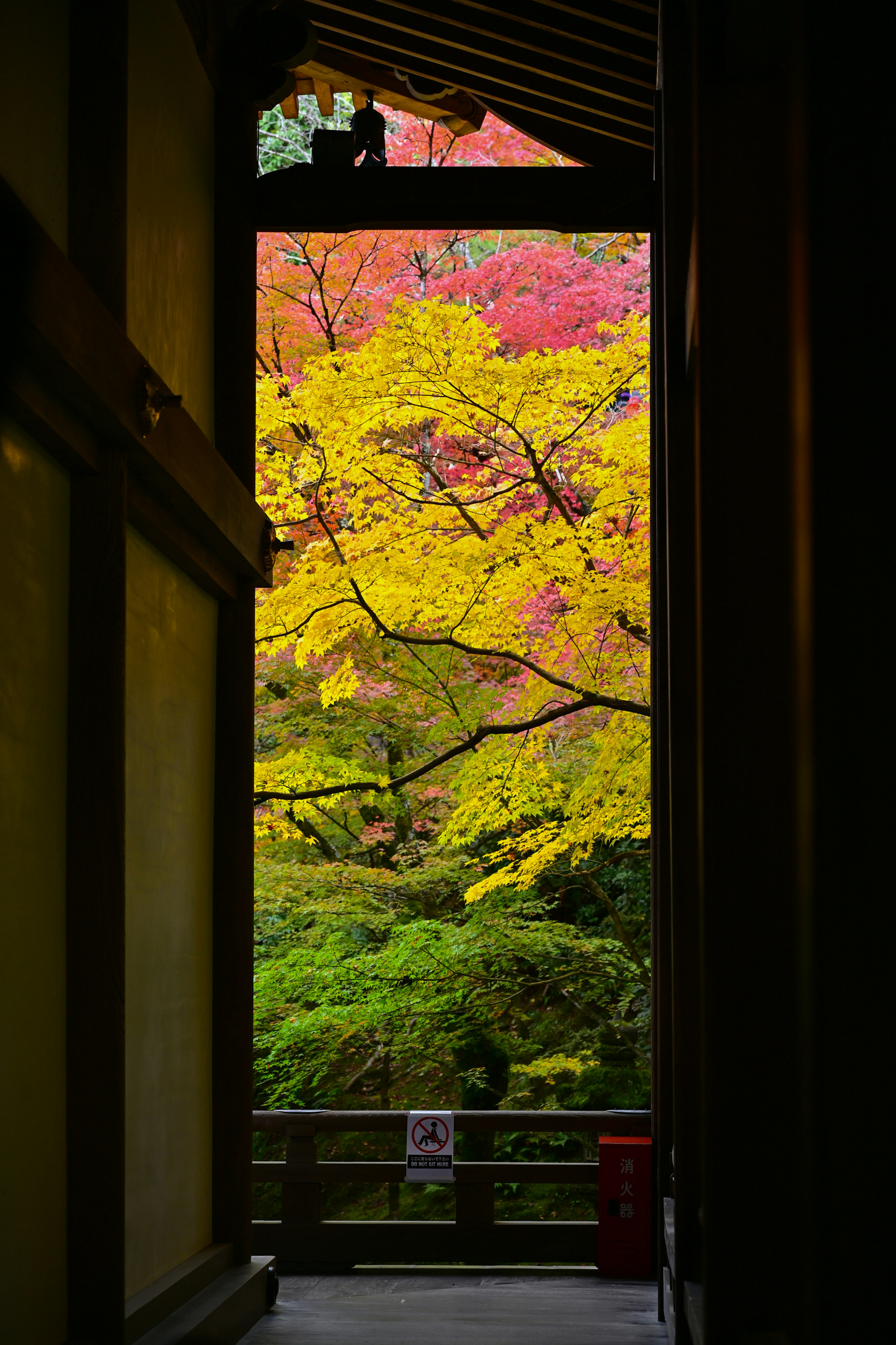 Schöne Herbstlaub in einer japanischen Landschaft