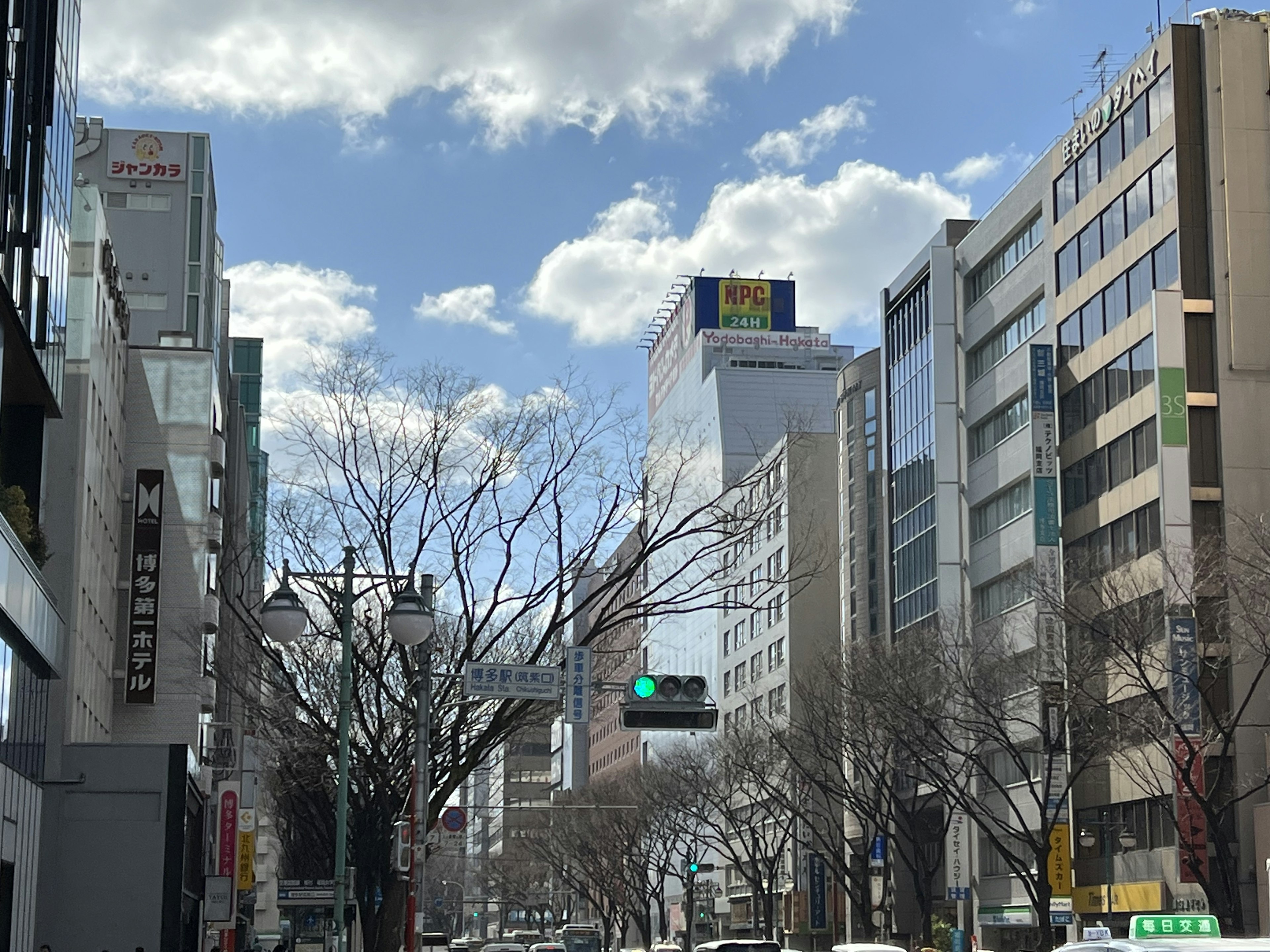 晴れた日の都市風景 高層ビルと青空 枝のある木