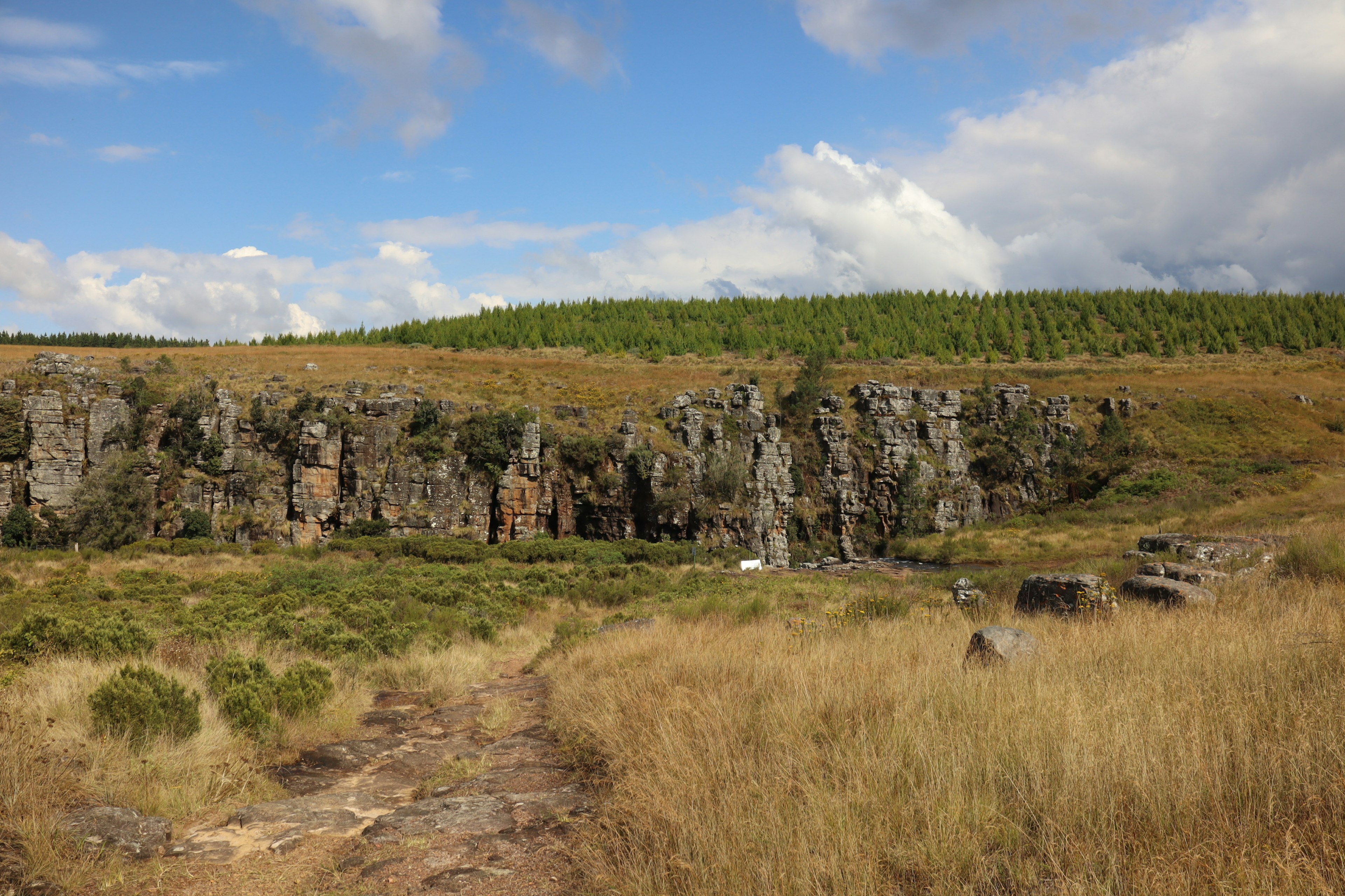 Weitläufige Graslandschaft mit grünen Hügeln und felsigen Klippen