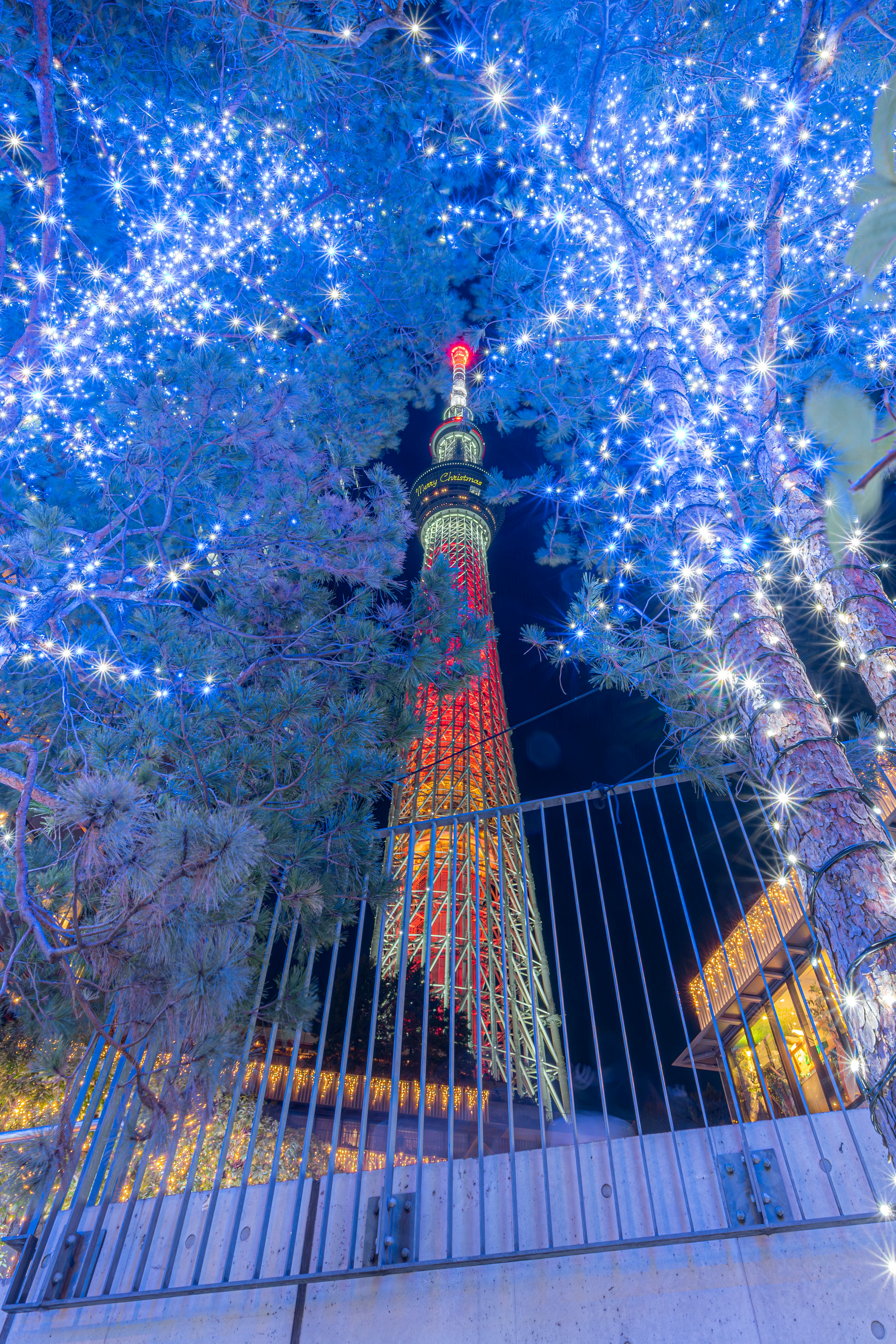 Tokyo Skytree illuminated at night surrounded by blue lights