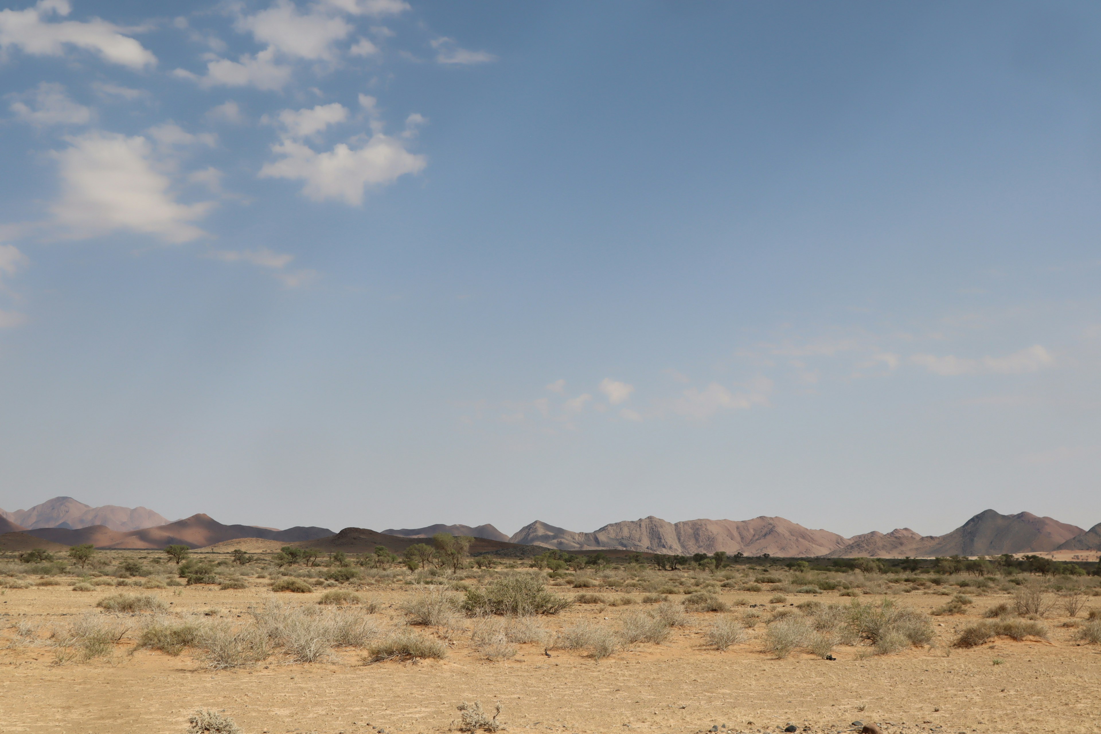 Dry desert landscape with distant mountains