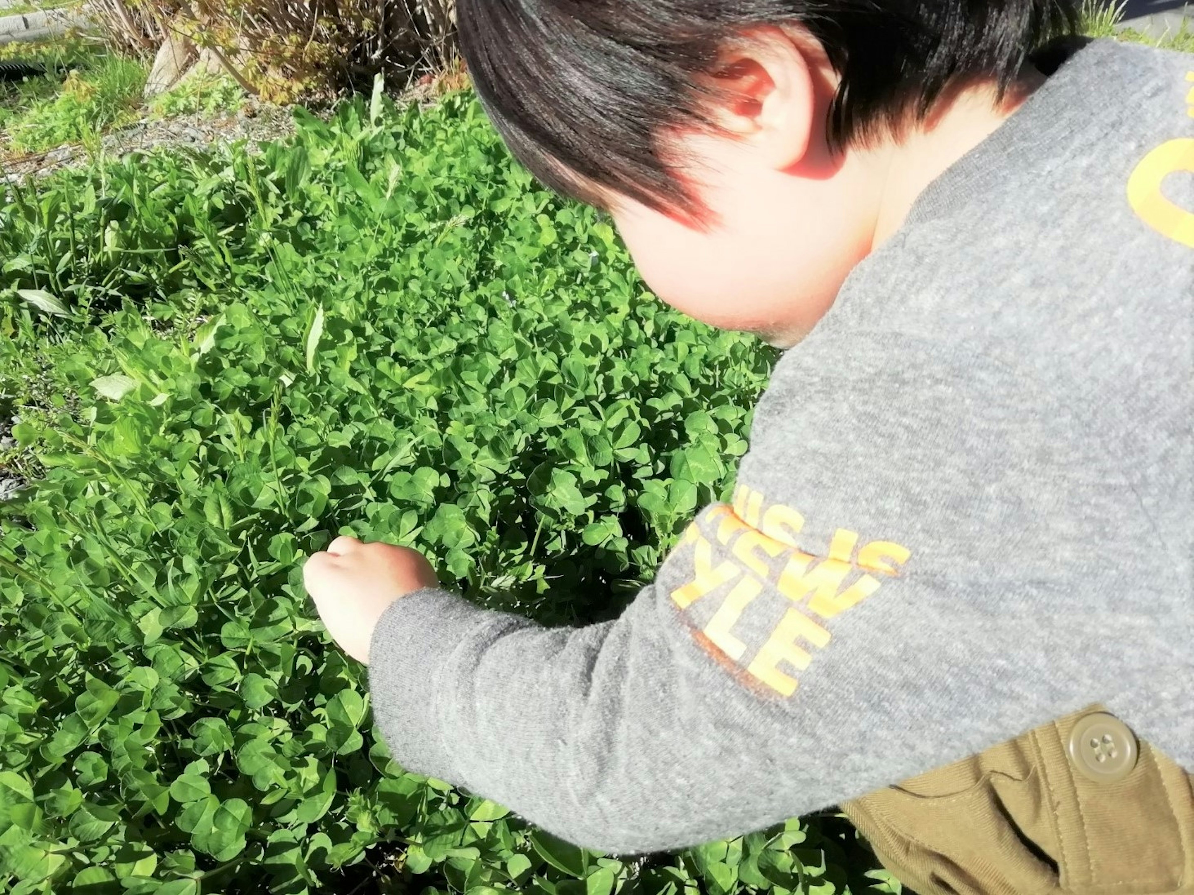 Child picking green plants in a garden