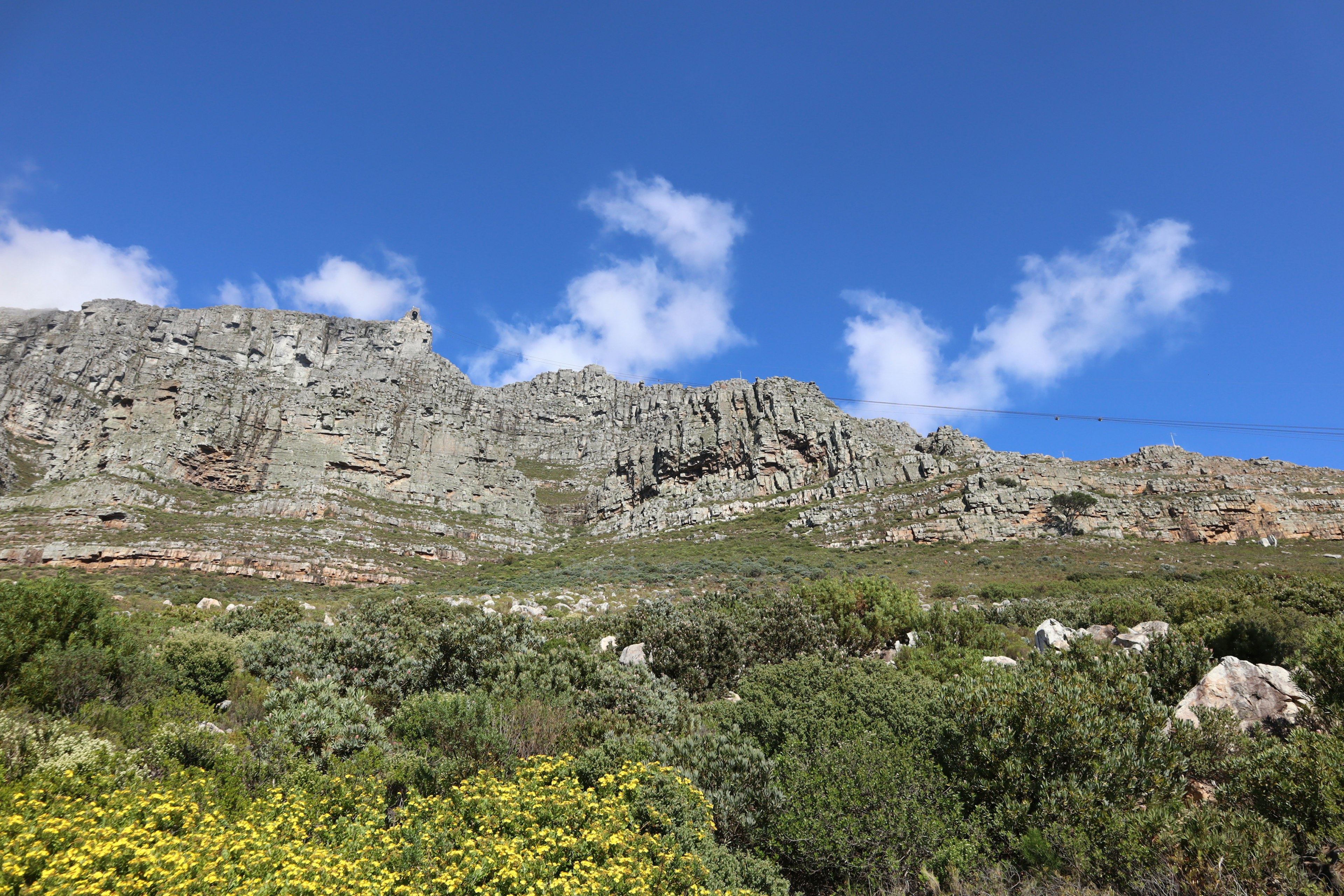 Paroi rocheuse de la Montagne de la Table sous un ciel bleu avec une végétation verte