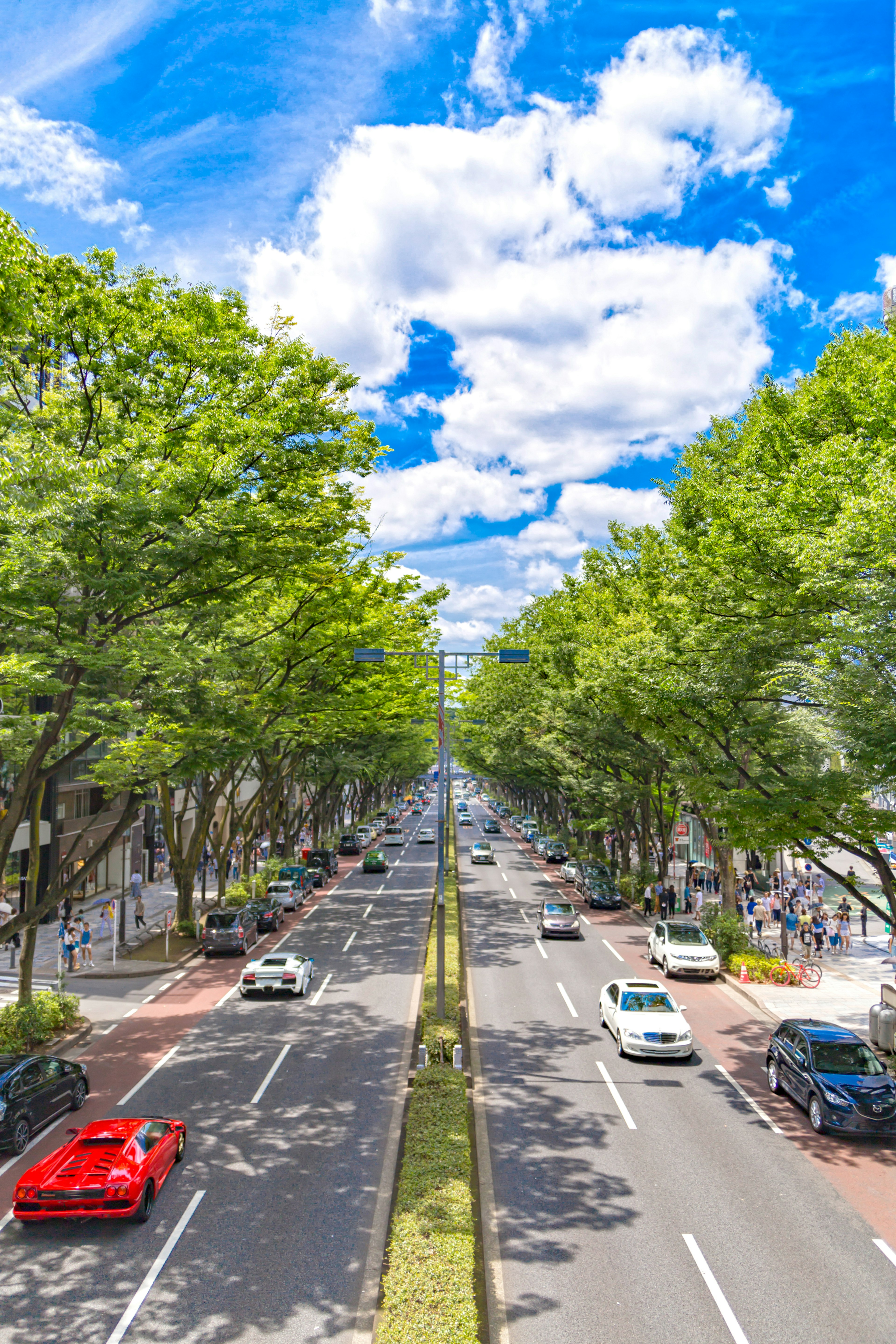 Una calle flanqueada por árboles verdes bajo un cielo azul con nubes blancas