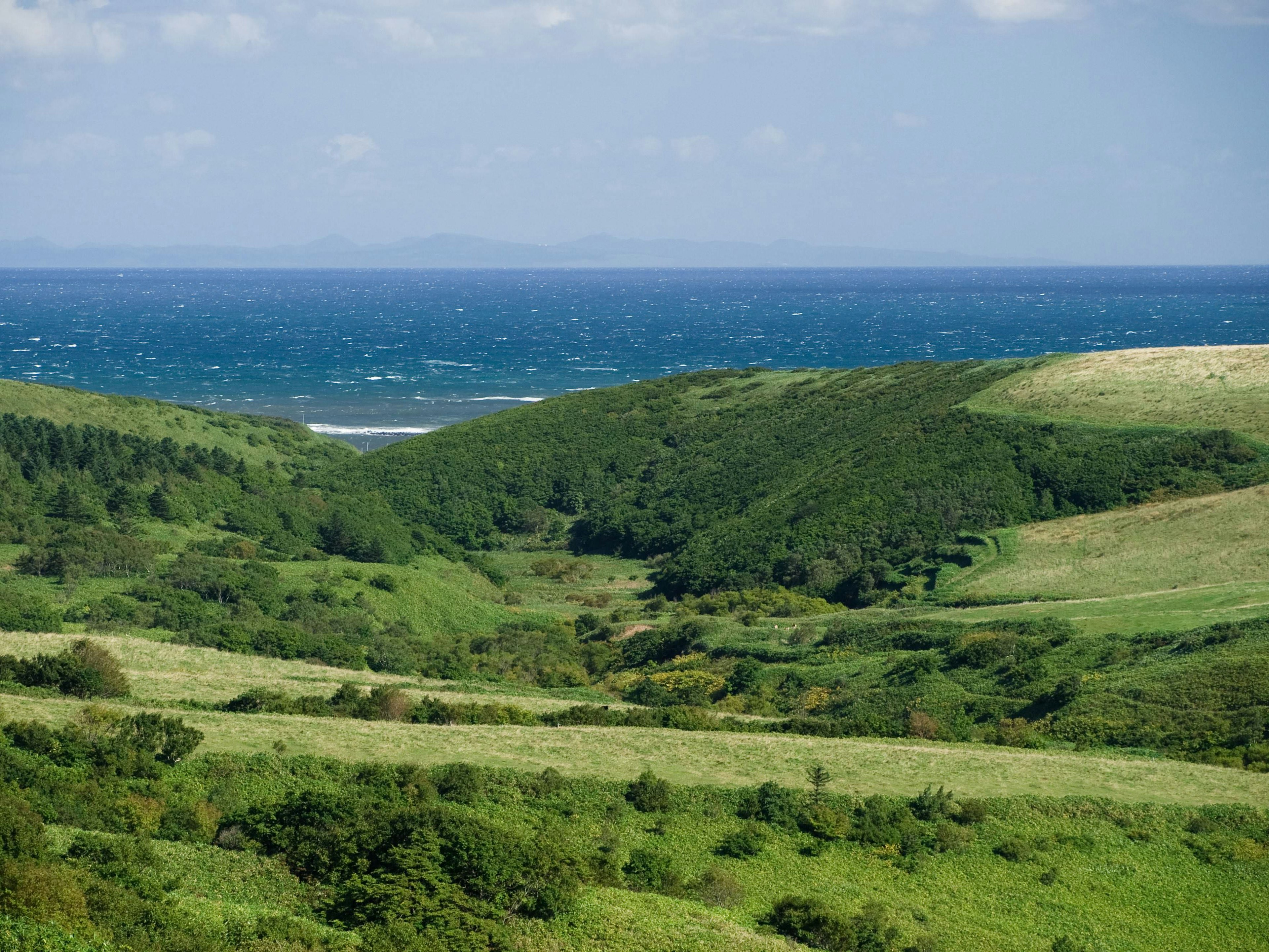 Vue panoramique de collines vertes menant à l'océan bleu