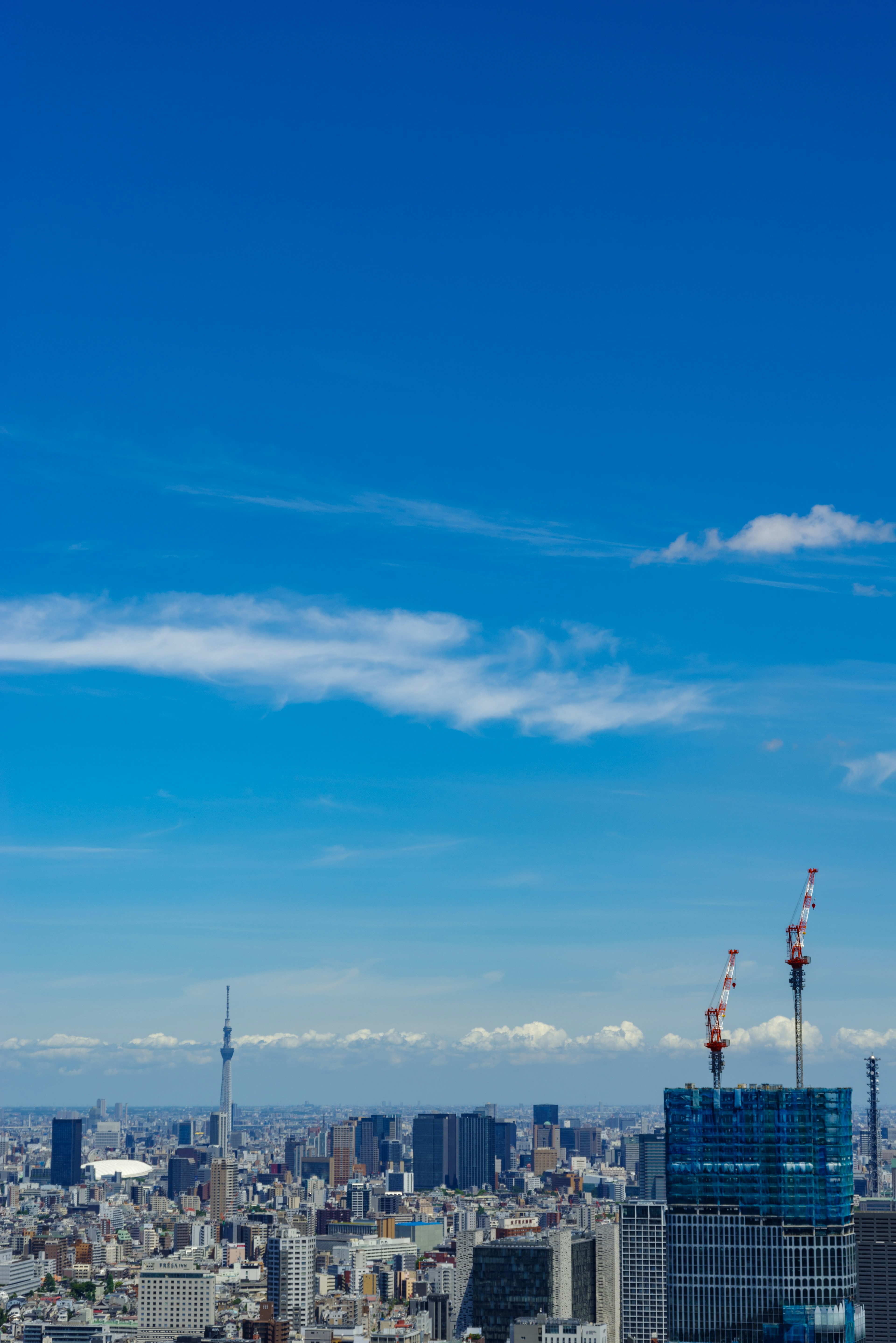 Cảnh quan các tòa nhà chọc trời ở Tokyo với bầu trời xanh và những ngọn núi tuyết xa xa, có Tokyo Skytree