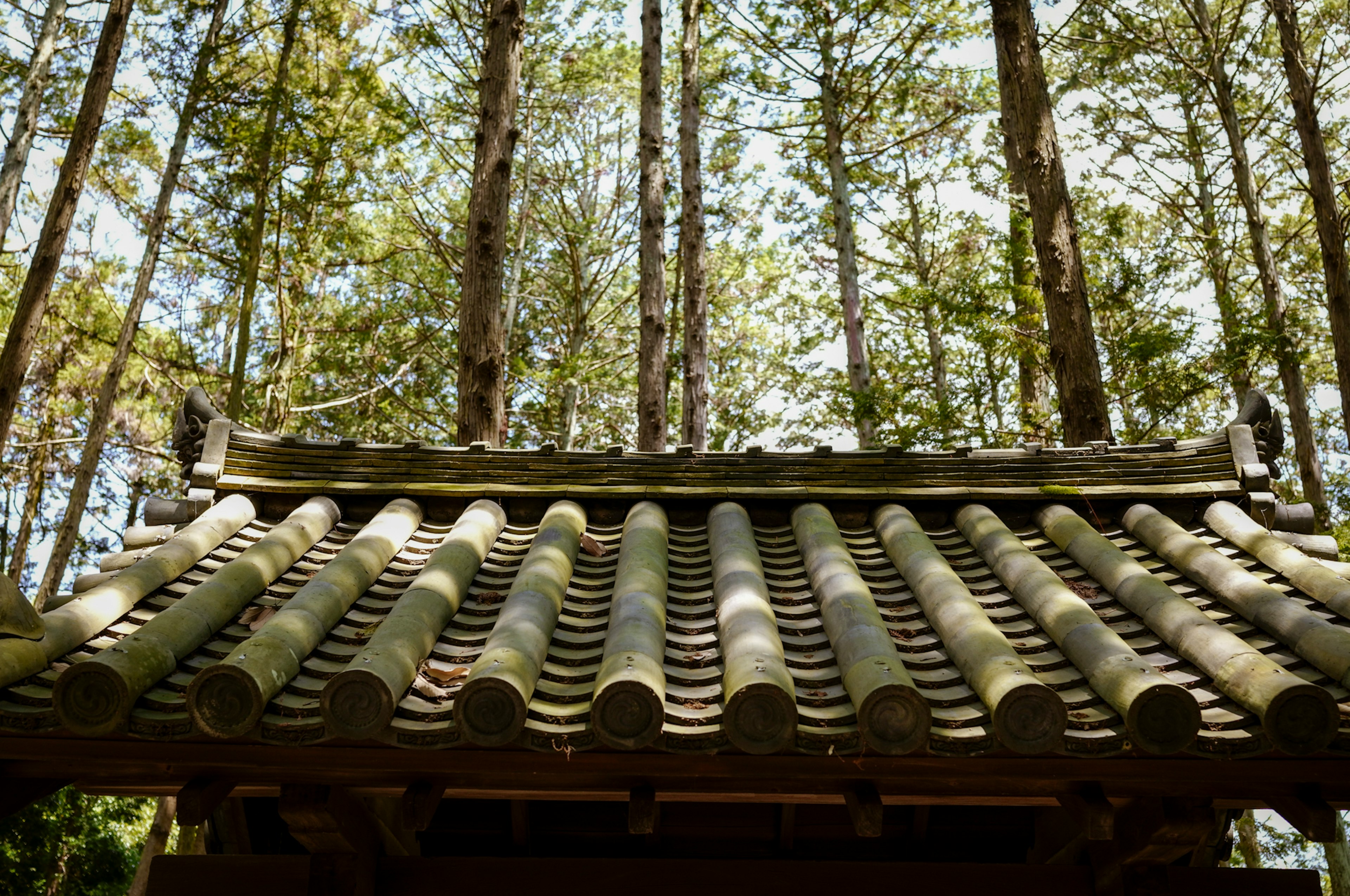 木々の間から見える伝統的な日本の屋根の瓦