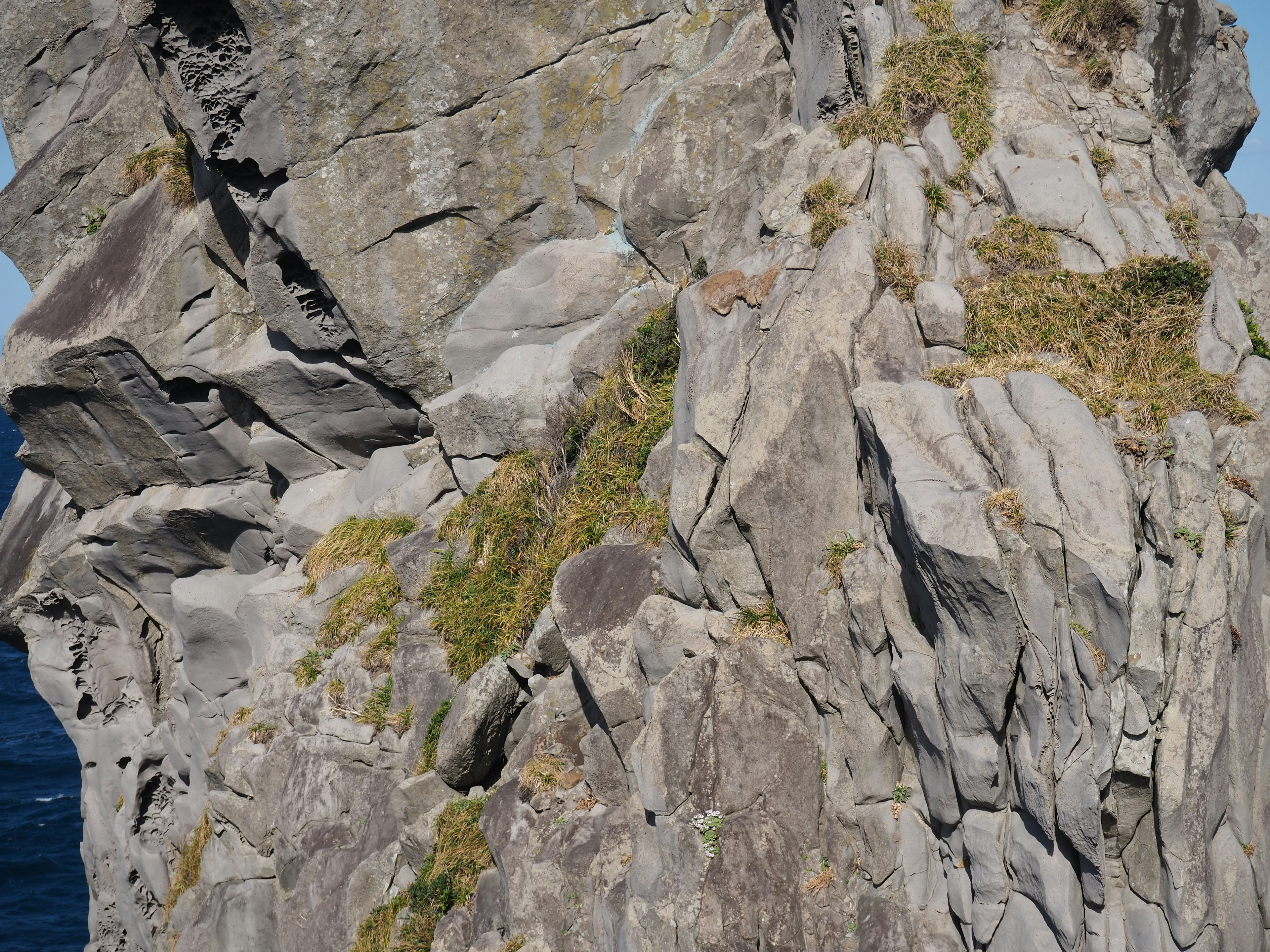 Cliffside rock formation with patches of greenery near the ocean