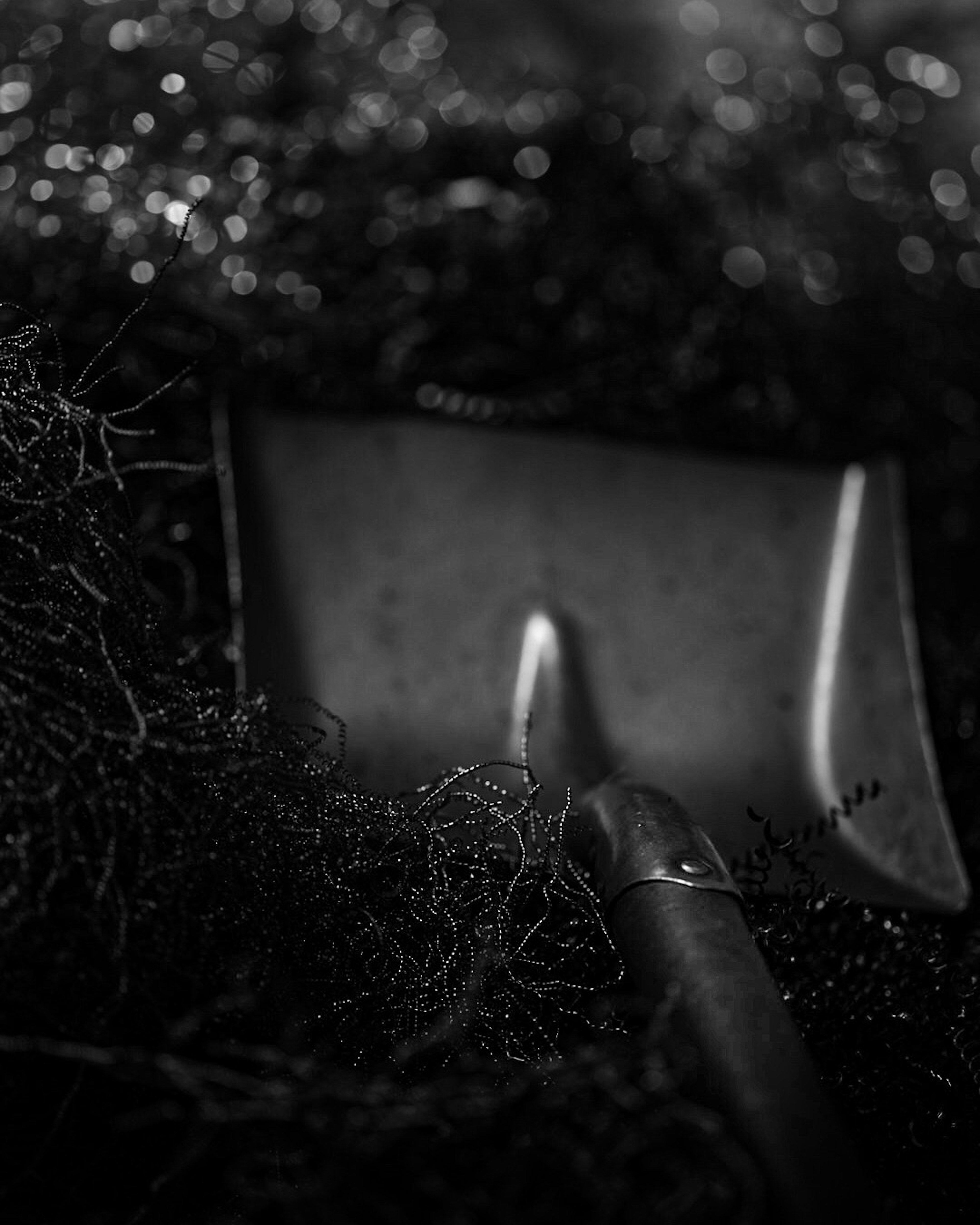 Close-up of a metal shovel resting in dark soil