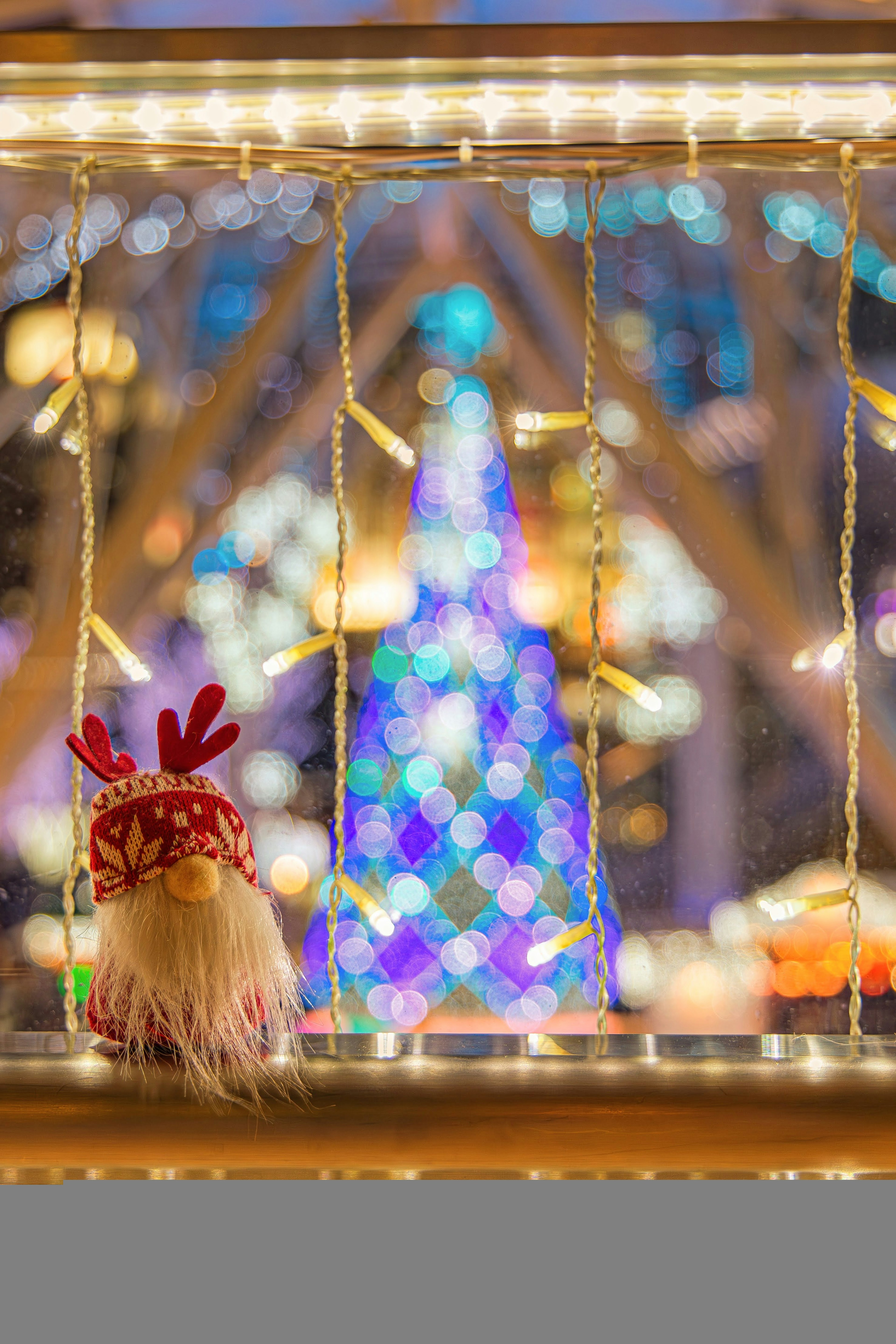 クリスマスツリーの前に飾られたサンタの飾りとイルミネーション