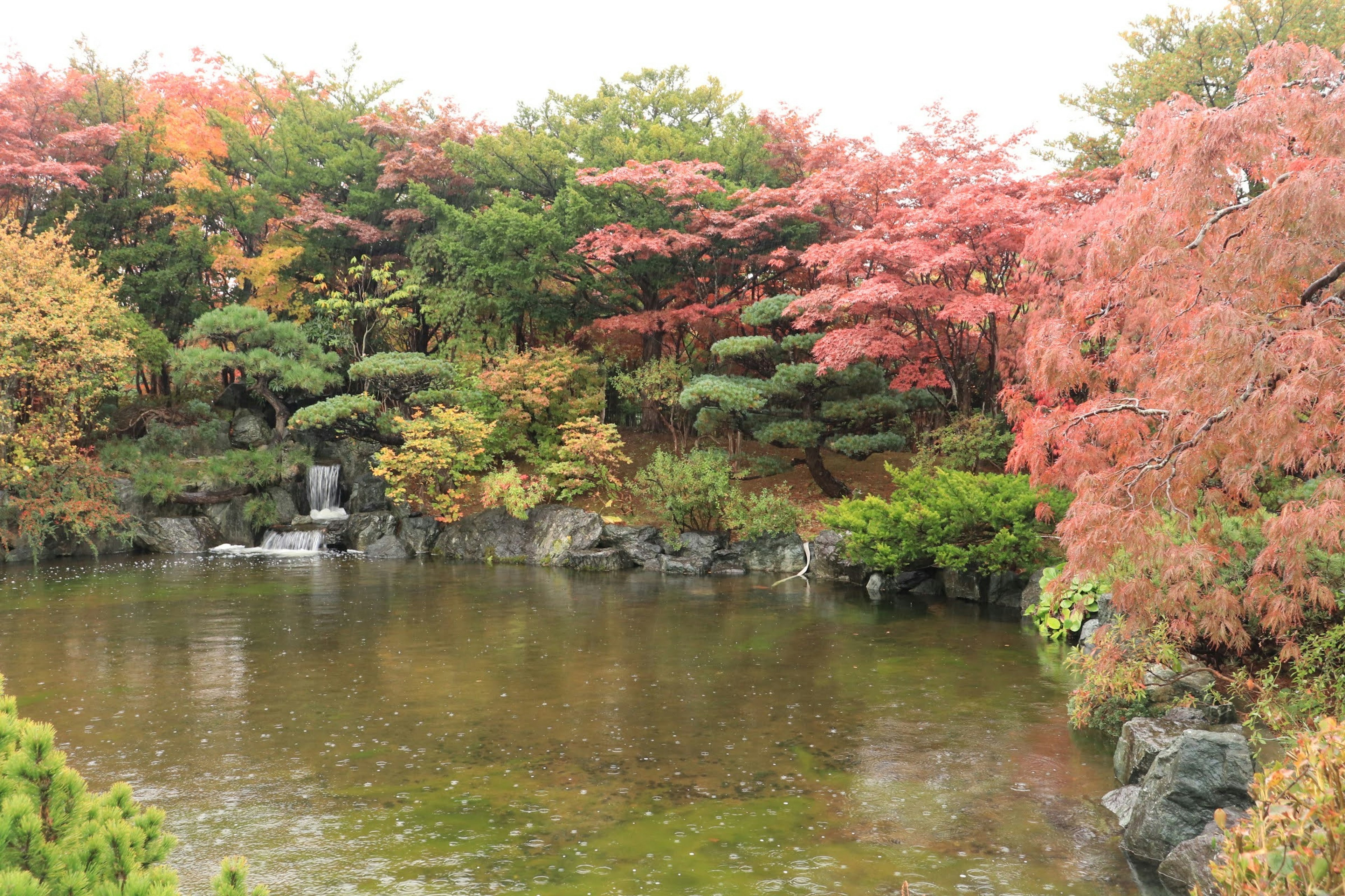 Paysage de bassin serein avec un feuillage d'automne vibrant