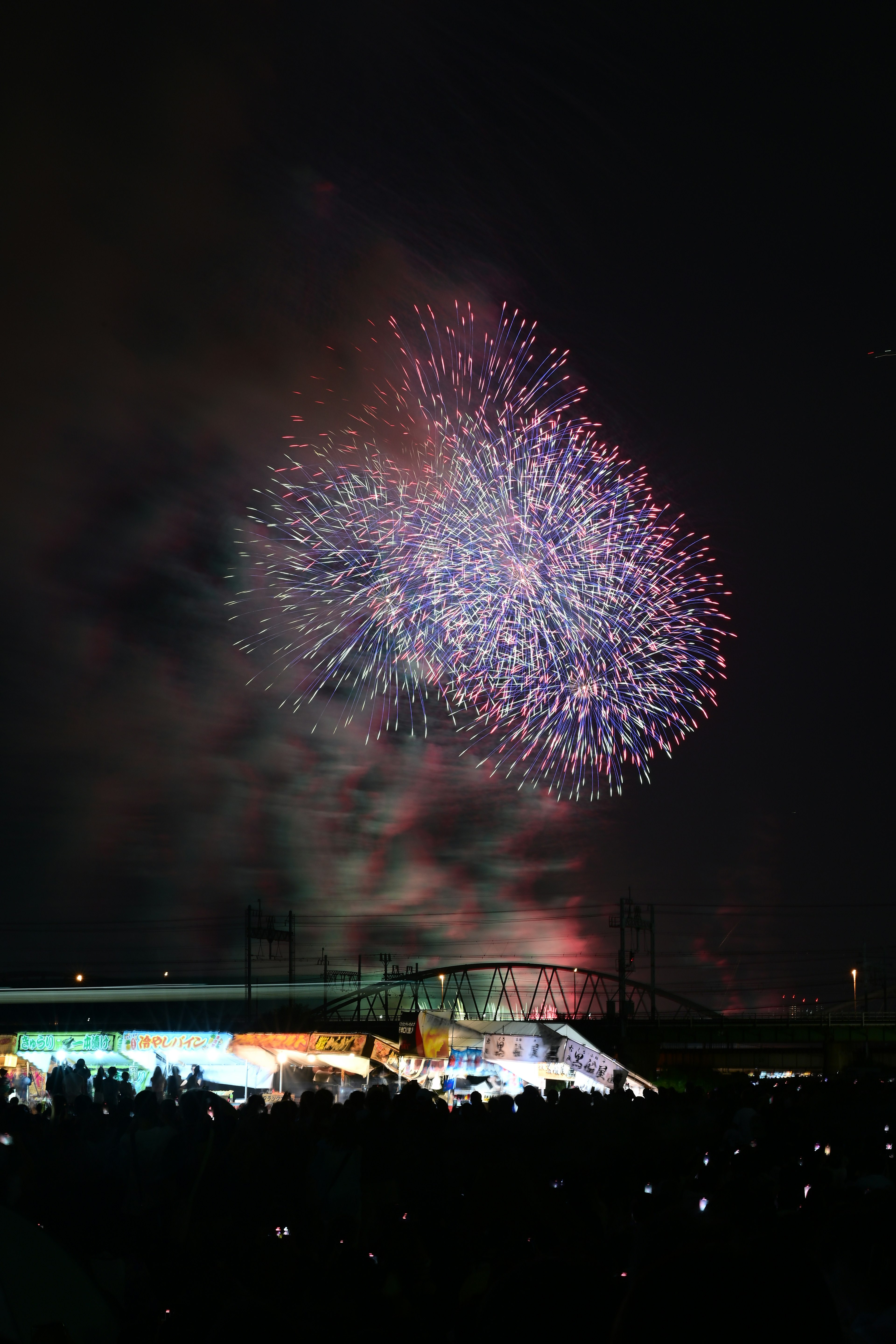 夜空に広がる花火の美しい光景と観客のシルエット