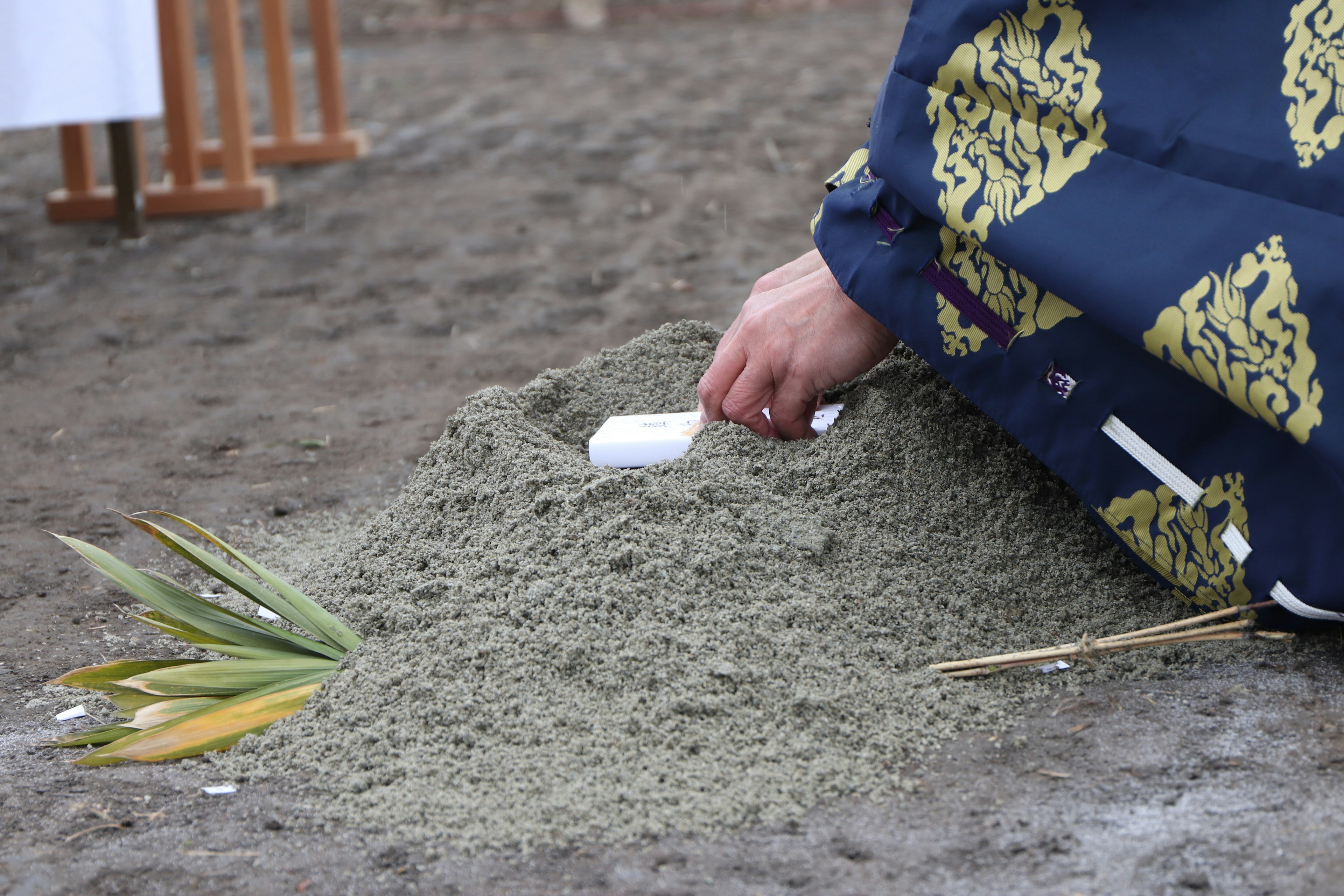 A hand digging into a mound of sand with plant leaves nearby