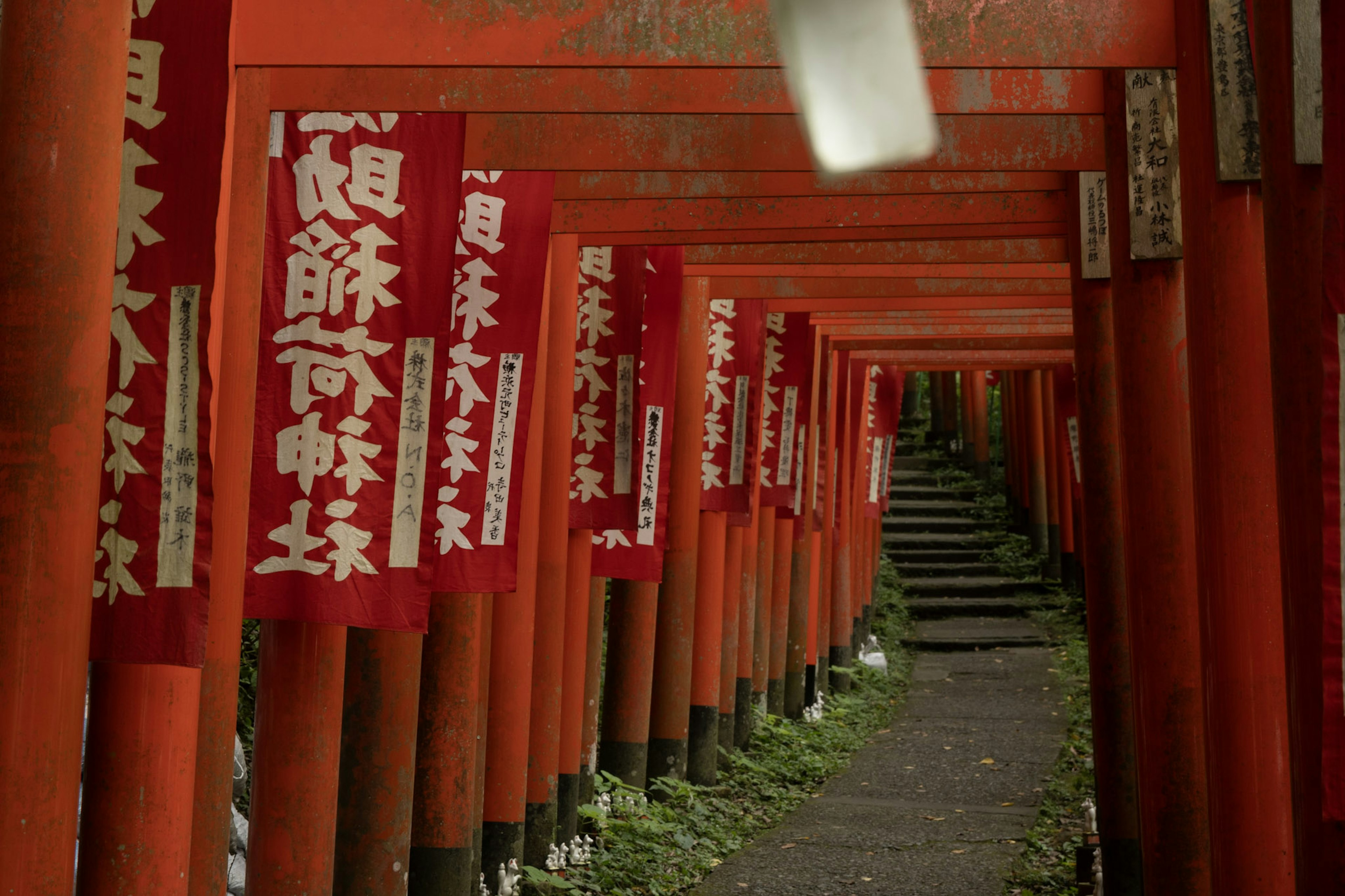 Pathway lined with red torii gates and banners at a shrine