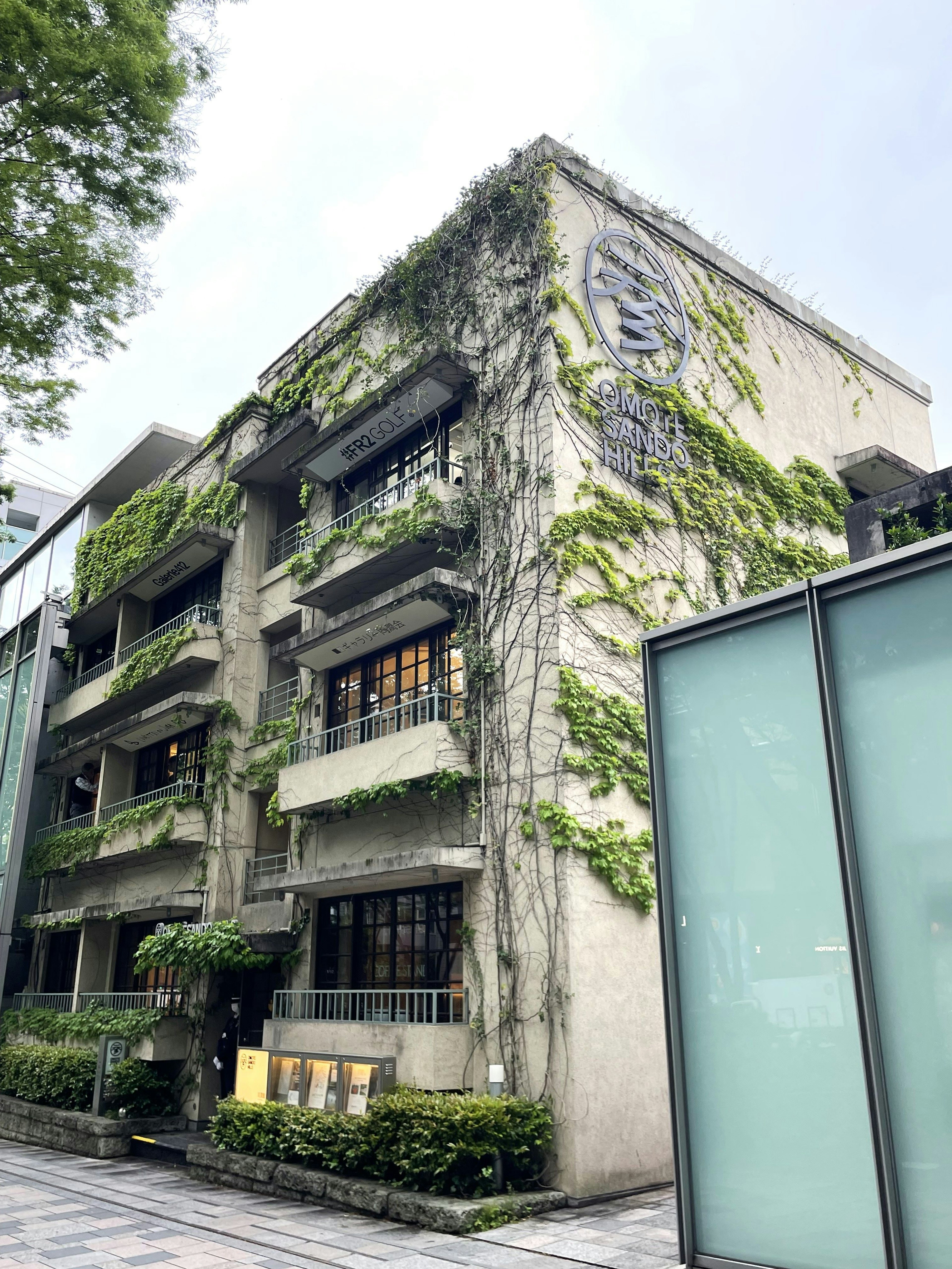 Bâtiment en béton recouvert de vignes et de plantes vertes