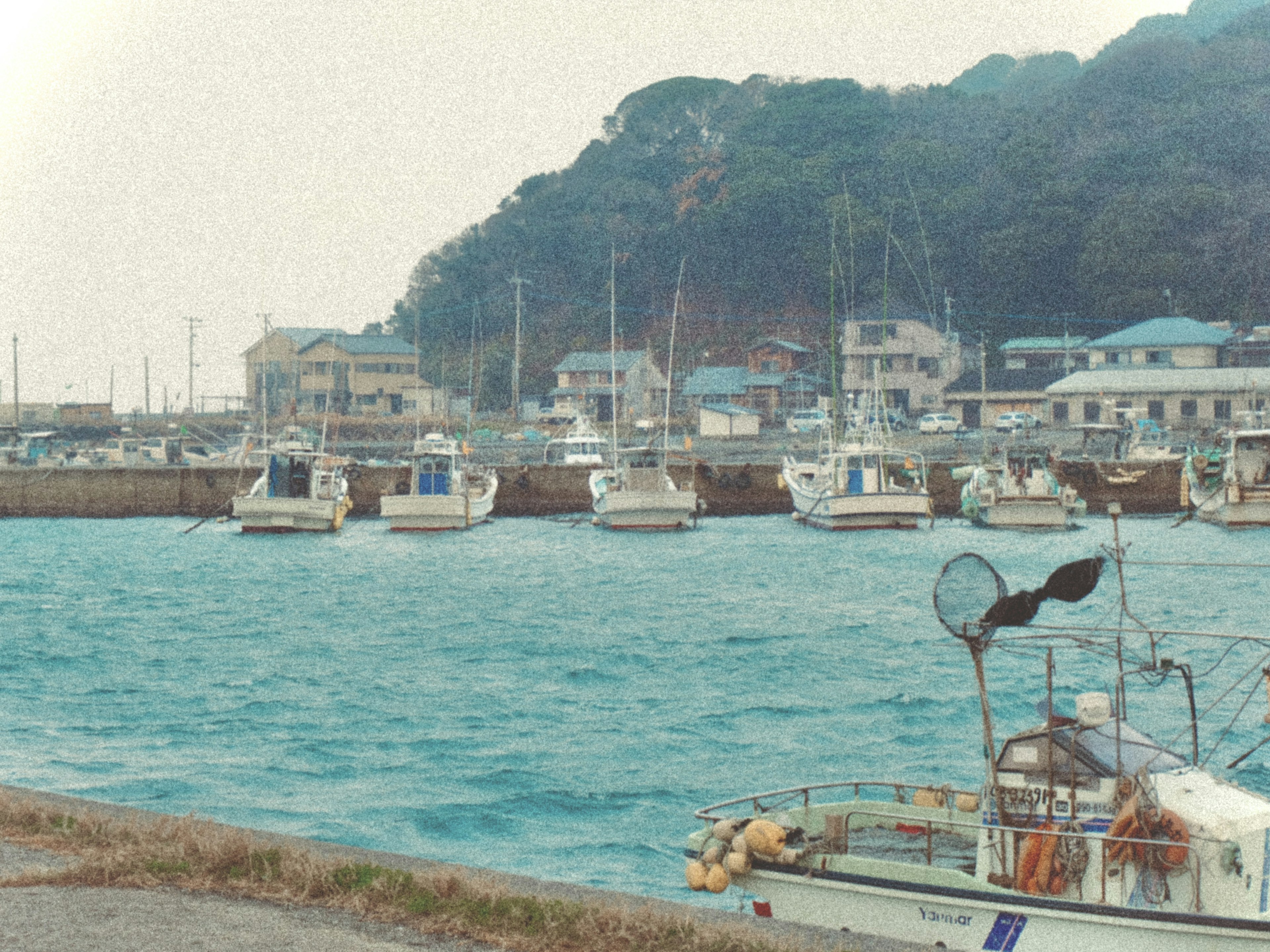 Petits bateaux amarrés dans un port calme avec des maisons à proximité