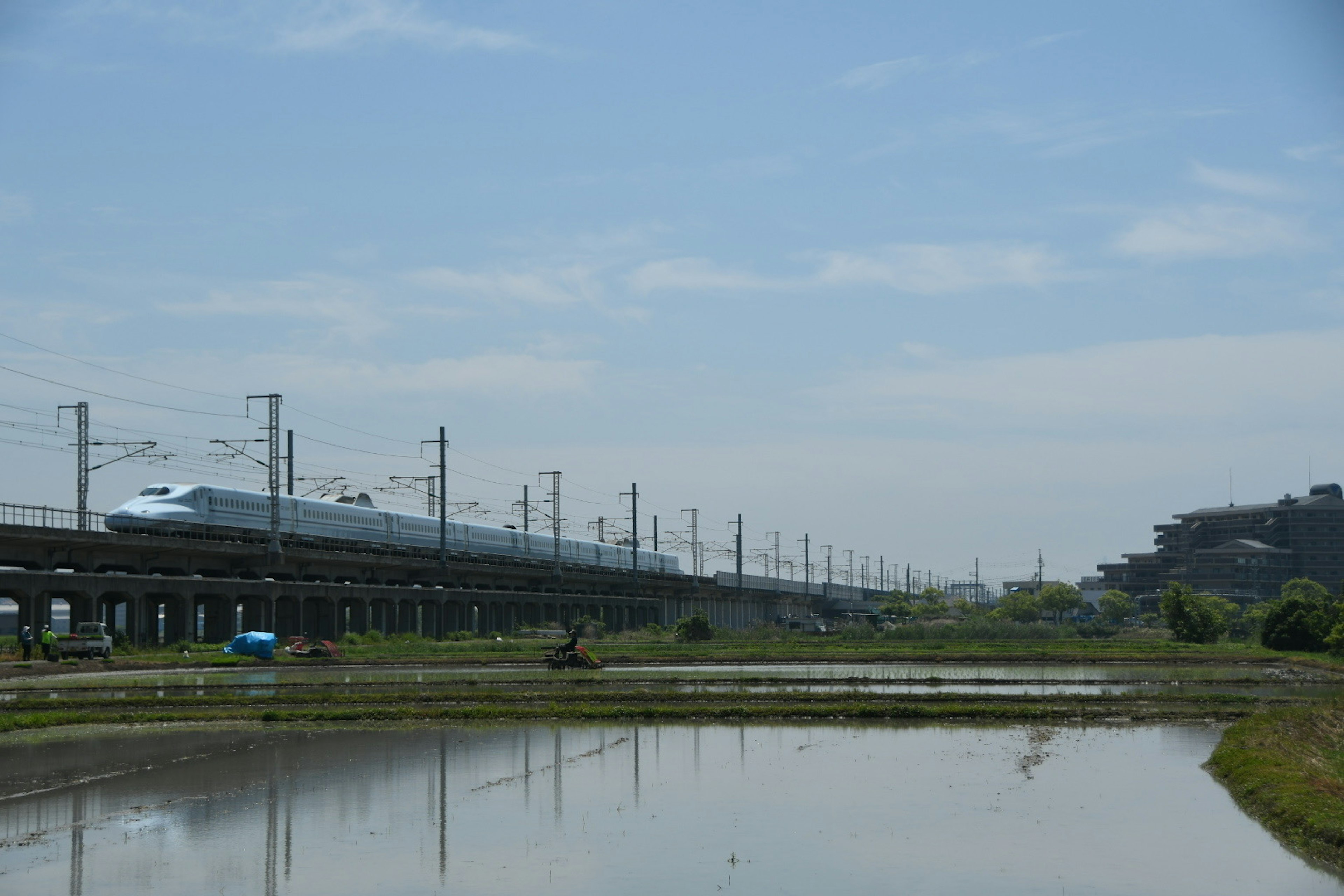 Treno Shinkansen che corre sotto un cielo blu con campi di riso