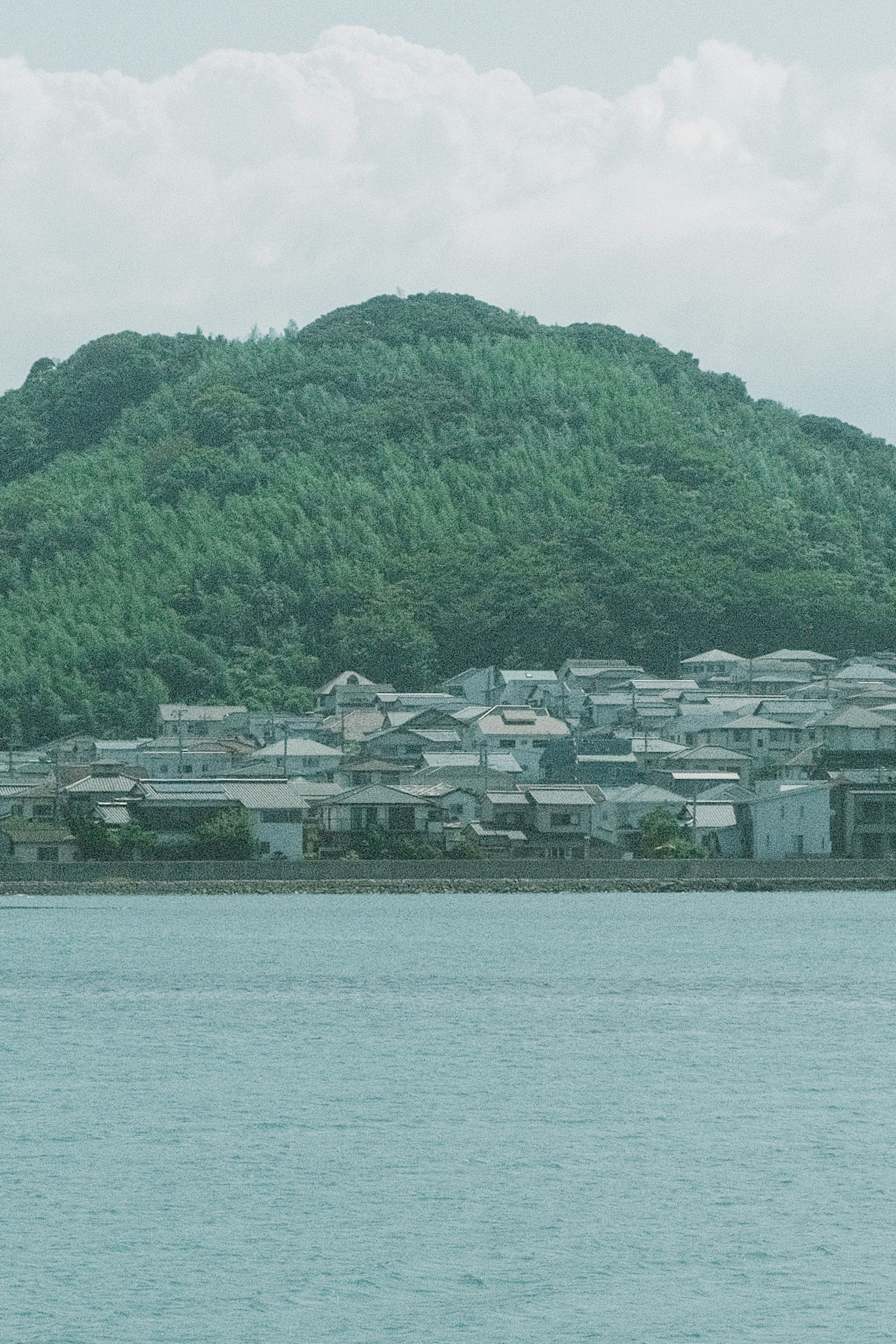 青い海と緑の丘に囲まれた住宅街の風景