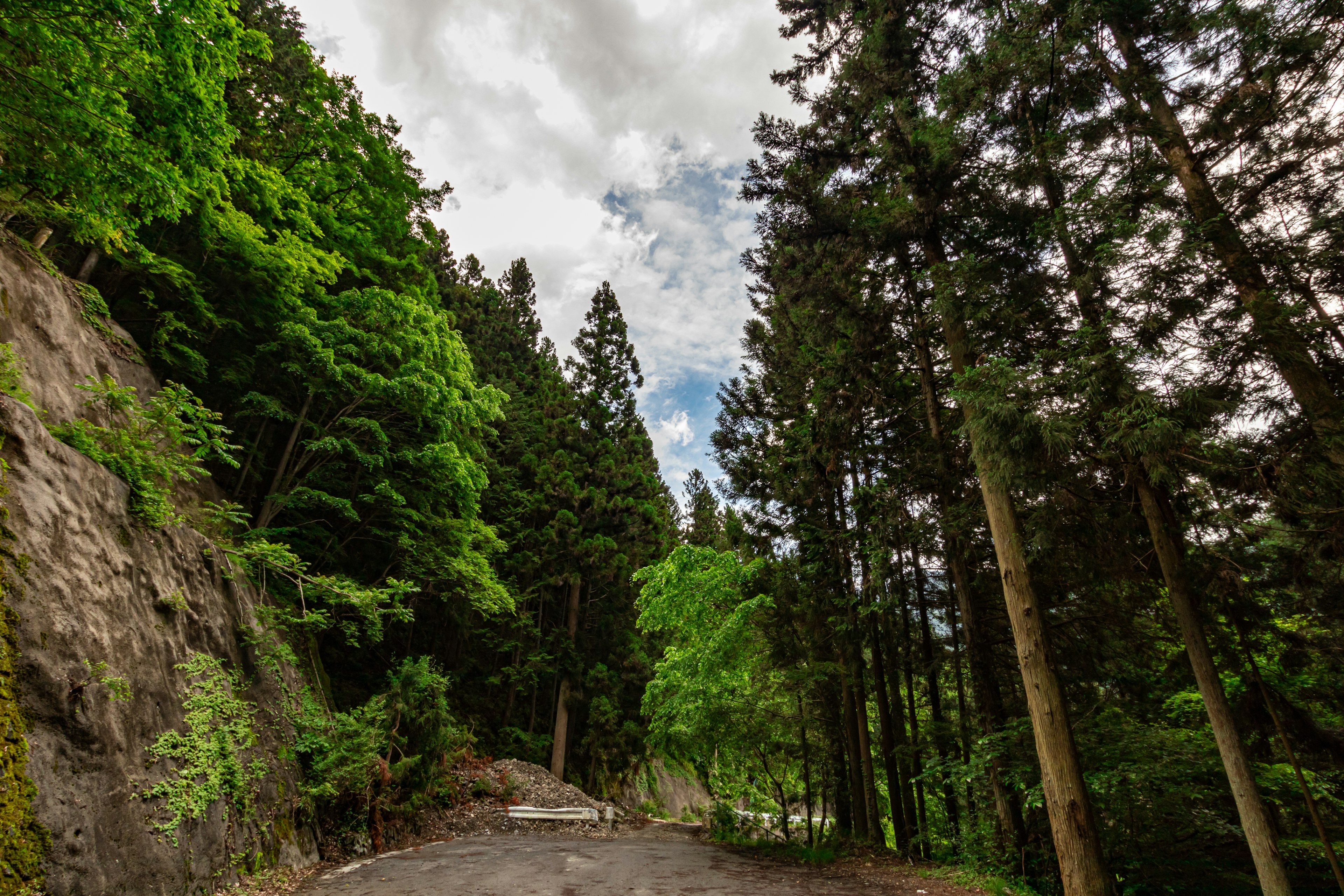 Vue panoramique d'une route de montagne sinueuse entourée de verdure luxuriante