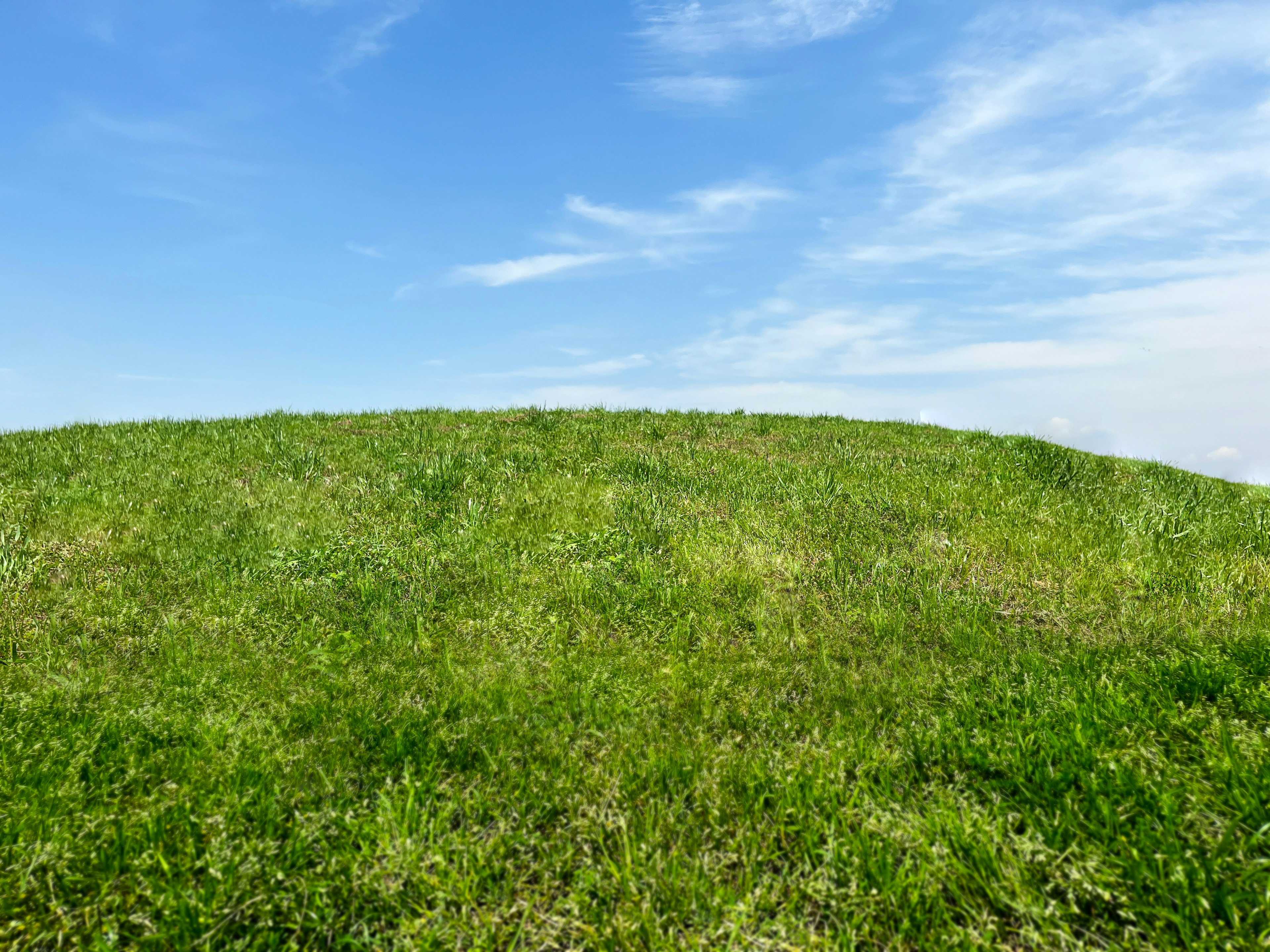 Collina verde sotto un cielo blu