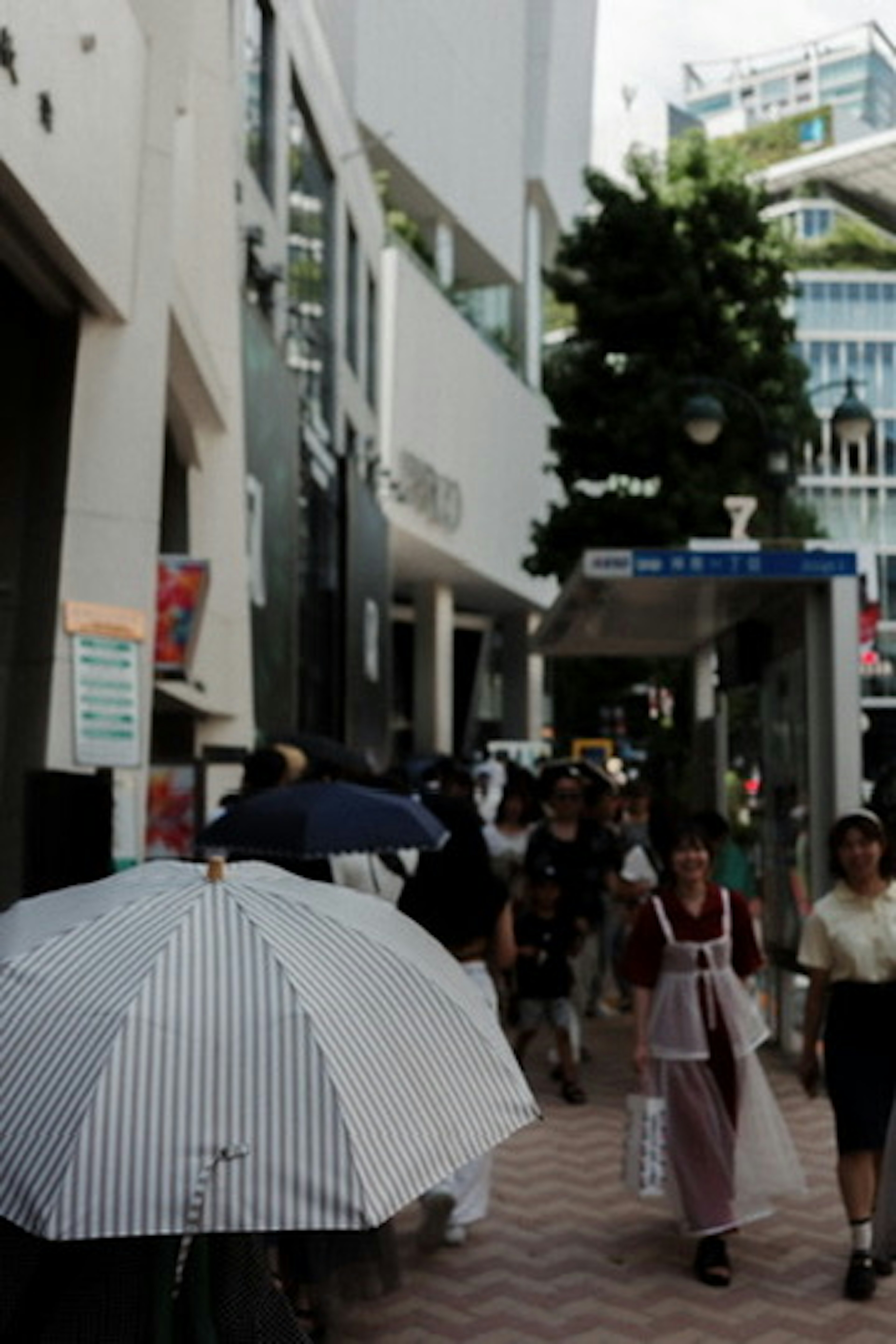 人々が傘をさして歩く賑やかな通りの風景