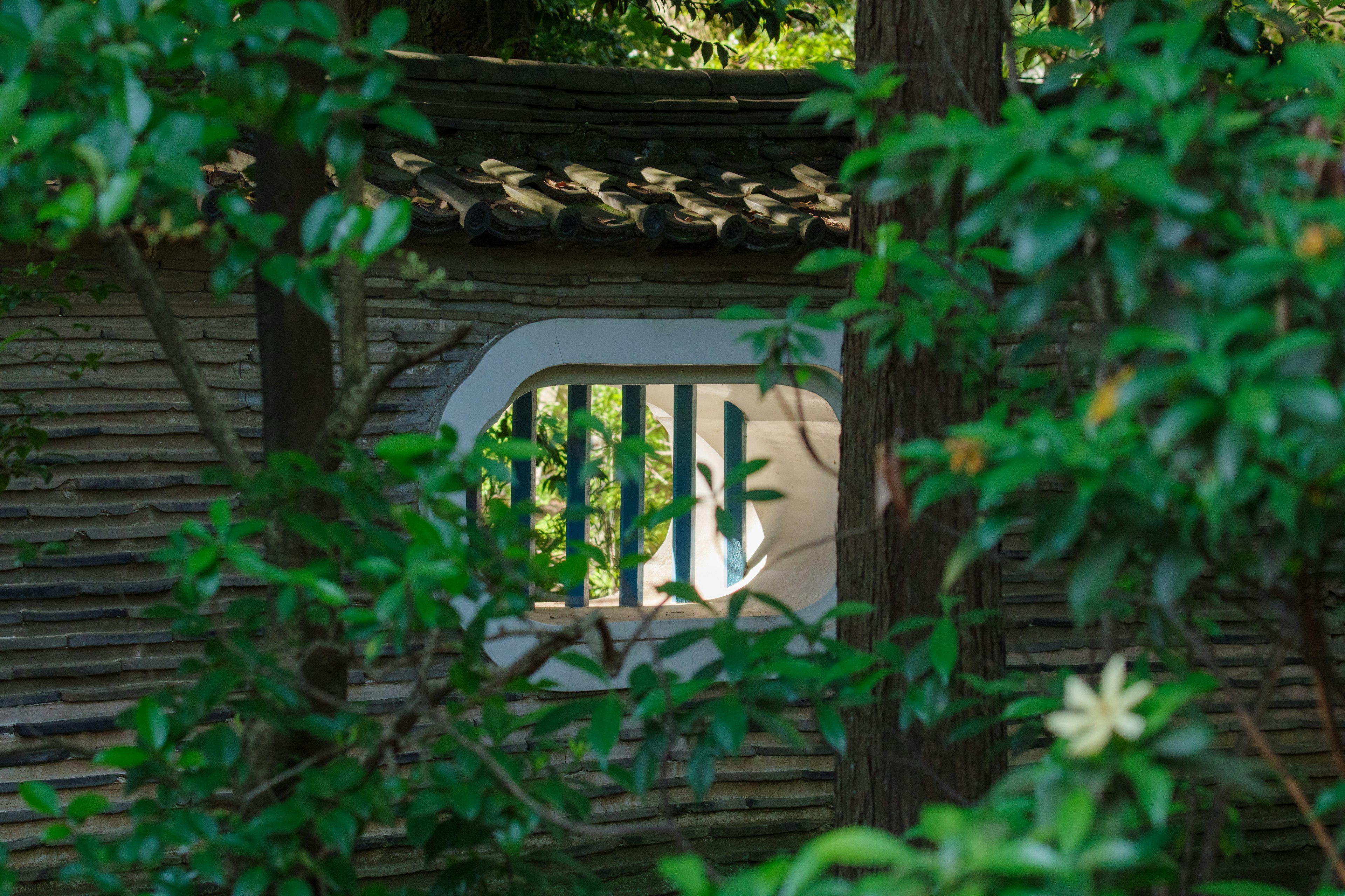 Fenêtre architecturale chinoise traditionnelle encadrée par une verdure luxuriante