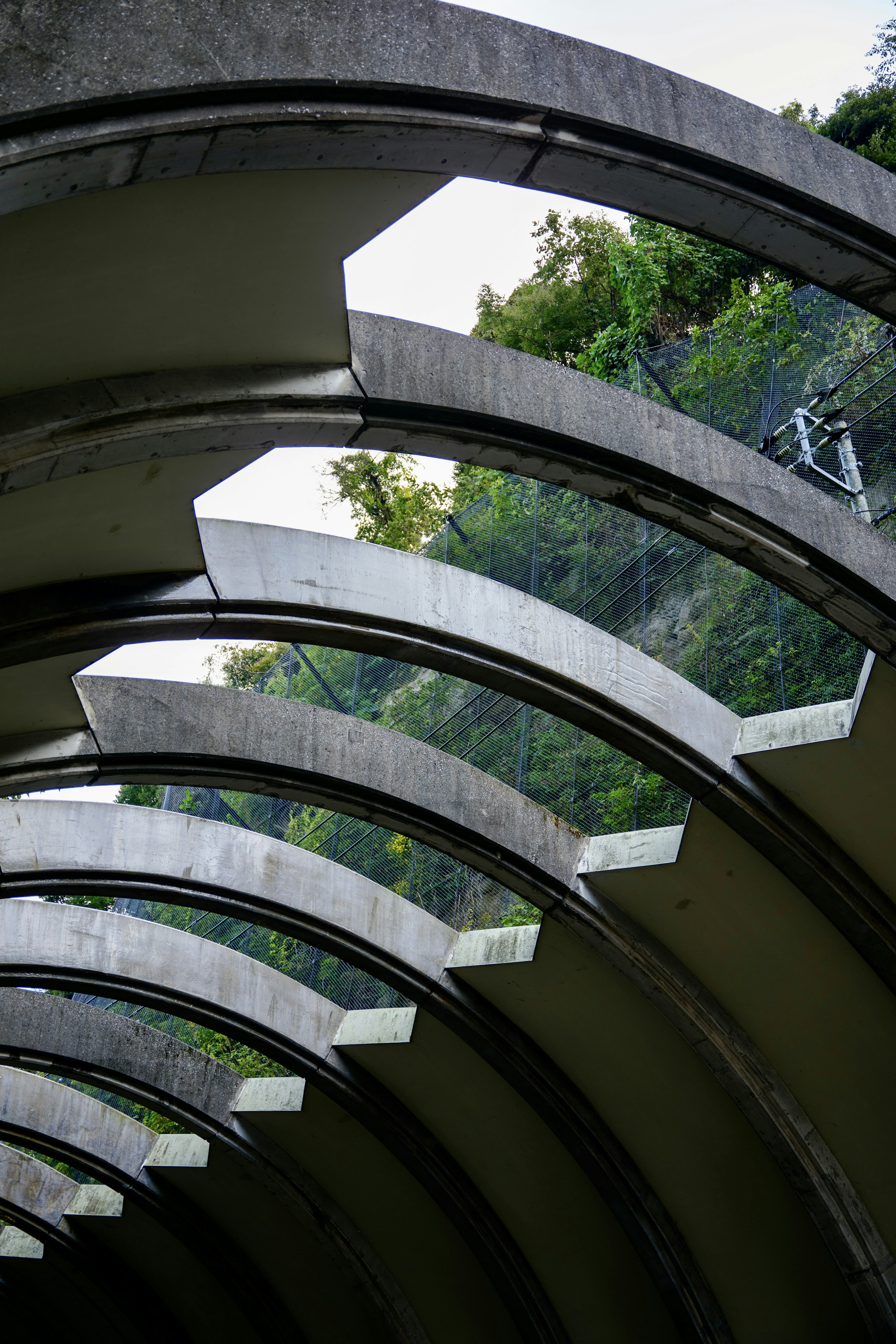 Structure de toit transparent en forme d'arche révélant des arbres verts