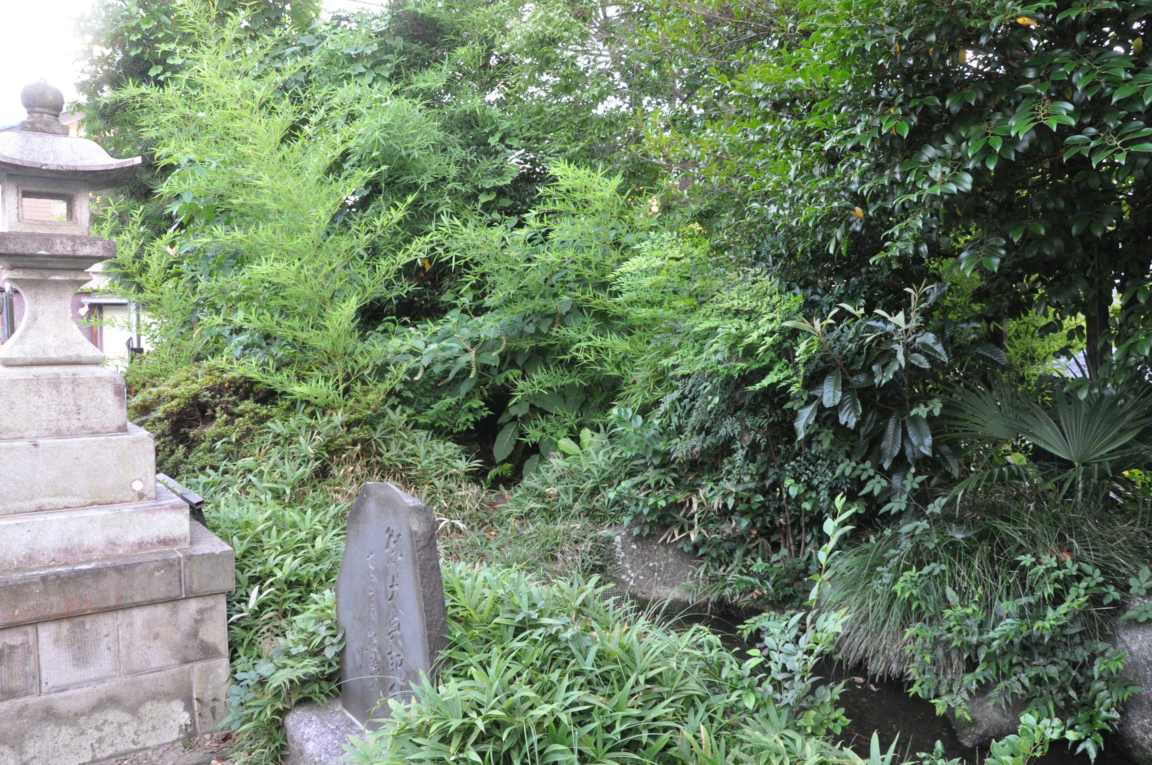 Pemandangan taman subur dengan patung batu dan bambu