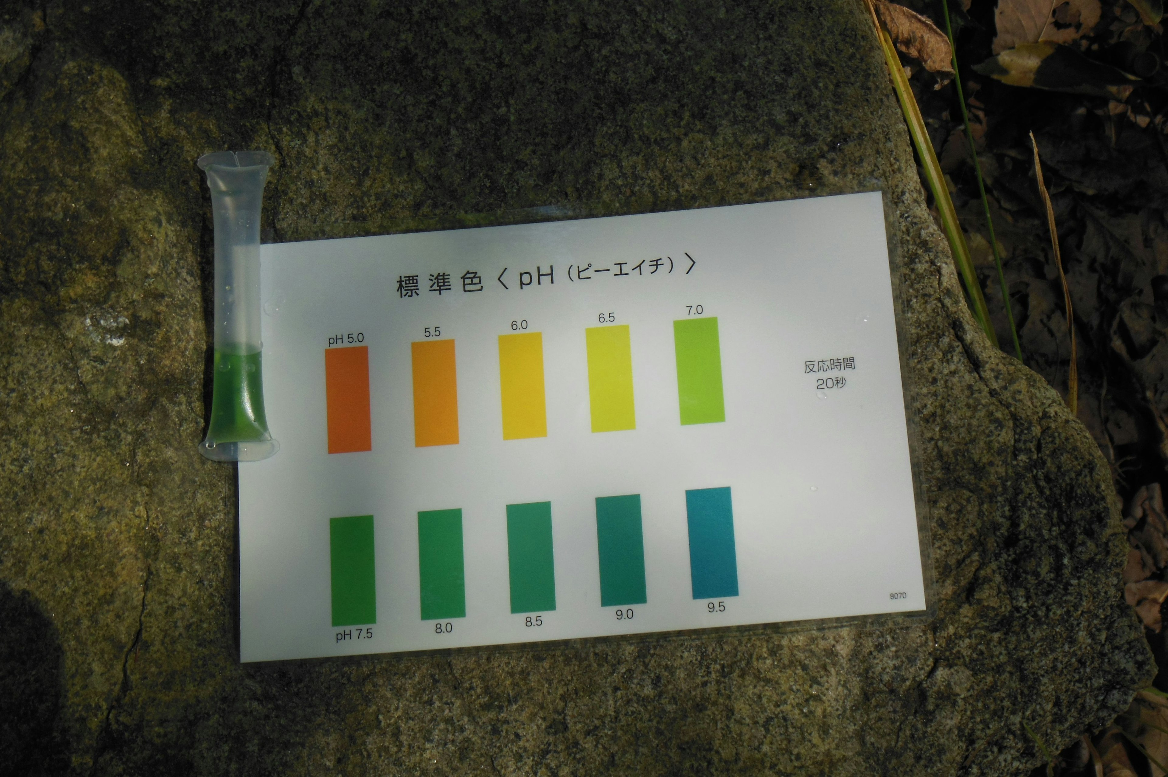 Photo of a green liquid next to a color chart card