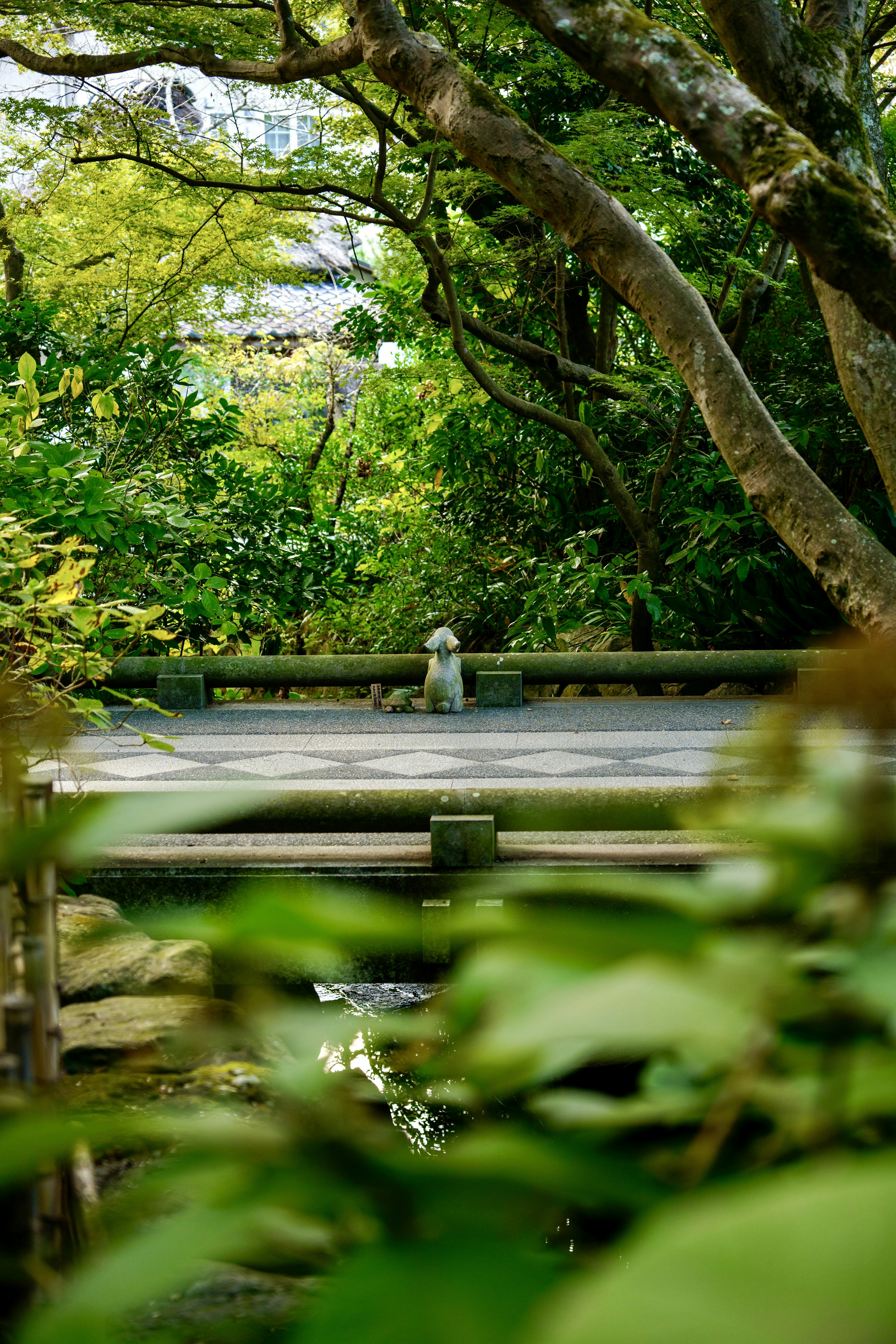 Un petit pont entouré de verdure luxuriante et d'arbres