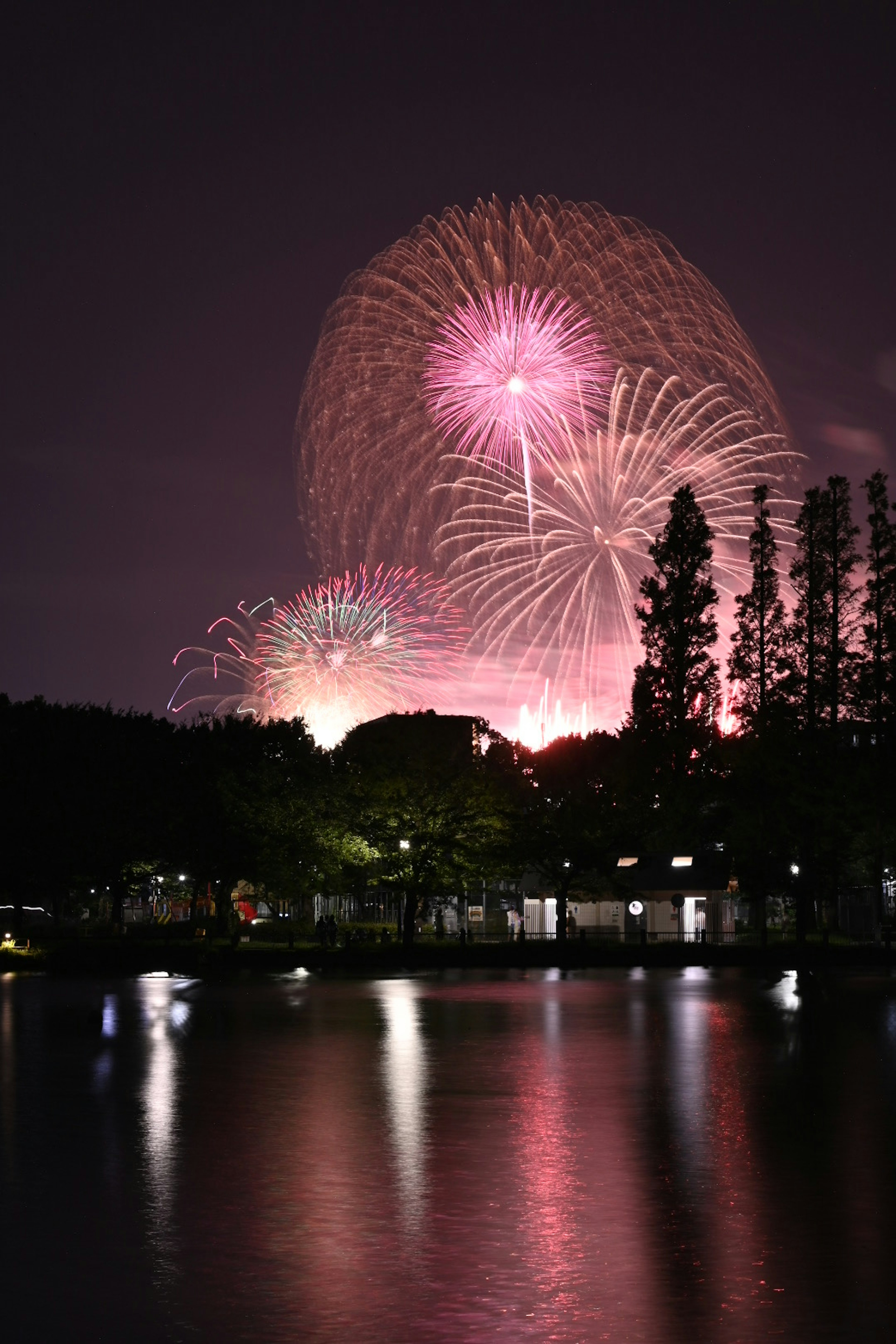 夜空に広がる花火のショーと反射する水面