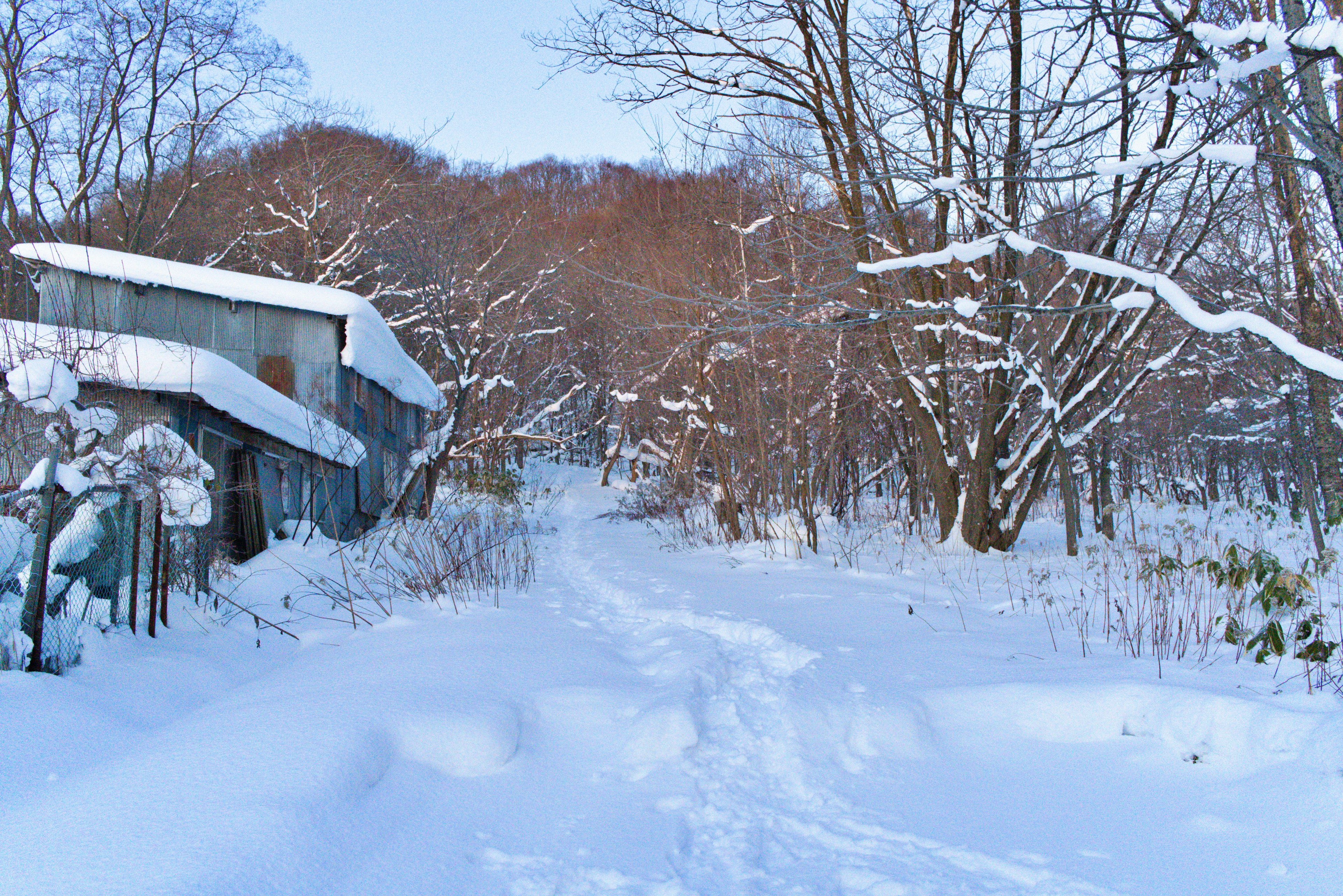 被雪覆蓋的小徑和樹木以及冬季景觀中的老建築