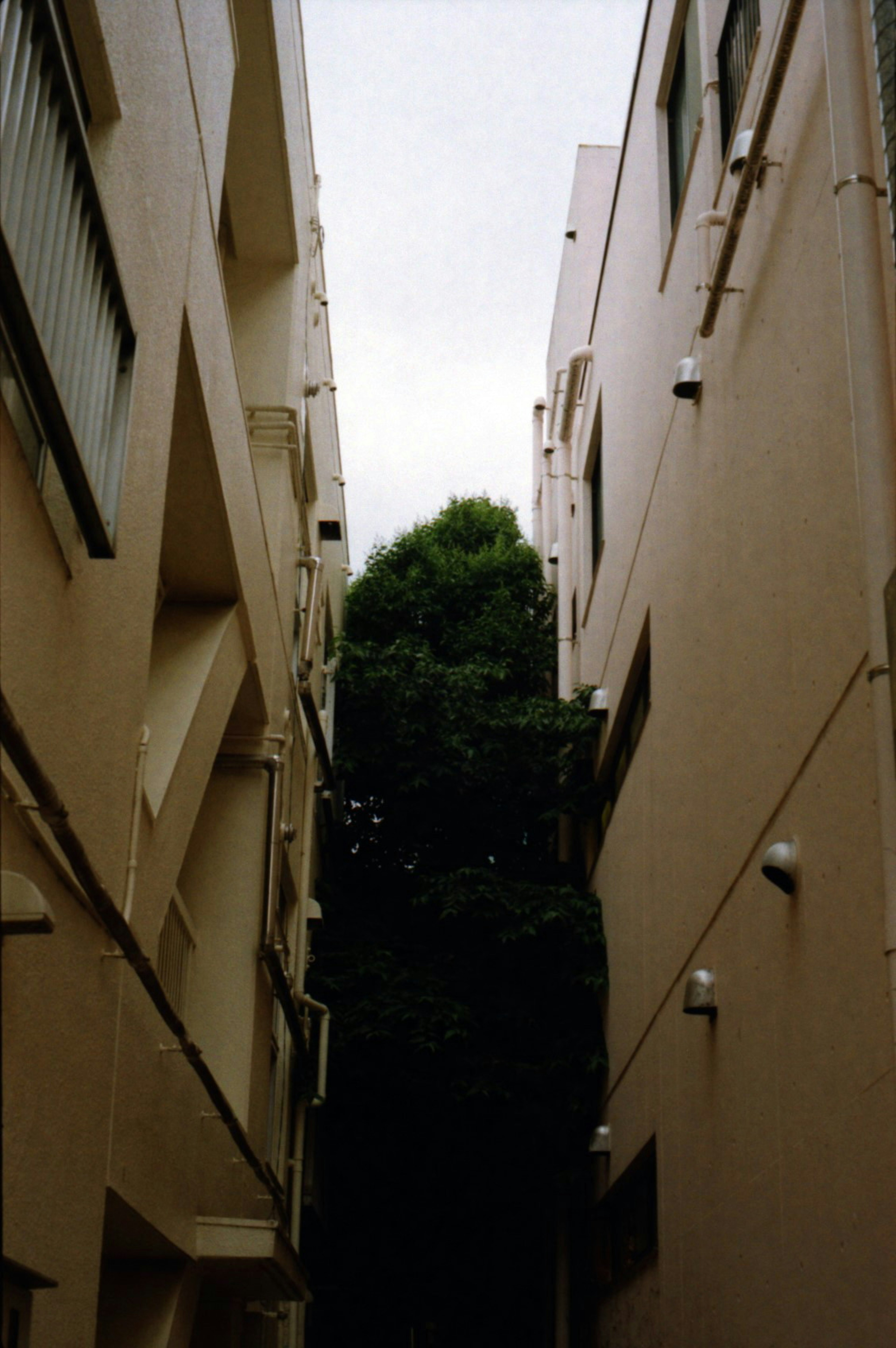 Narrow passageway flanked by buildings with green trees