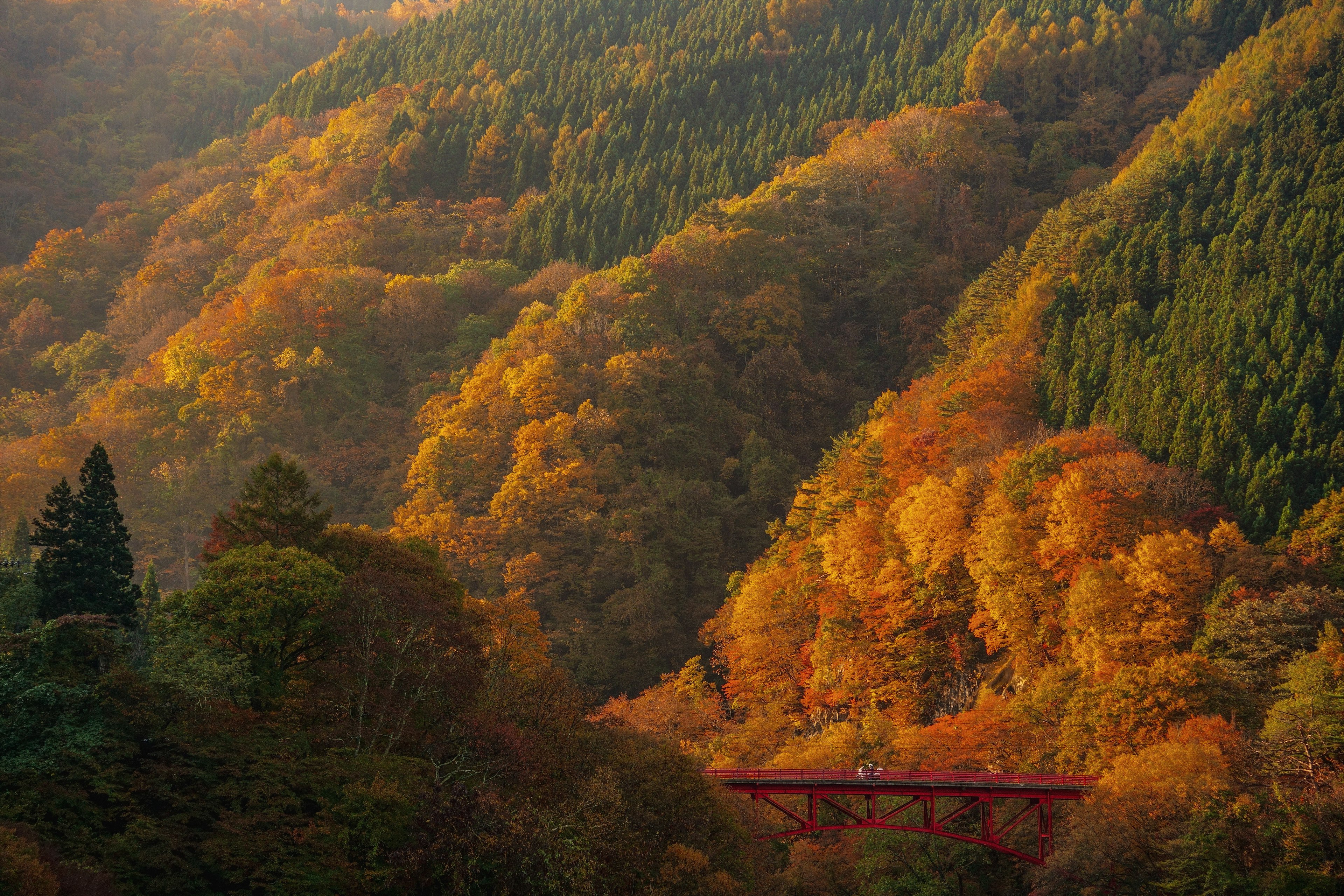 Scenic autumn landscape with a red bridge over colorful foliage