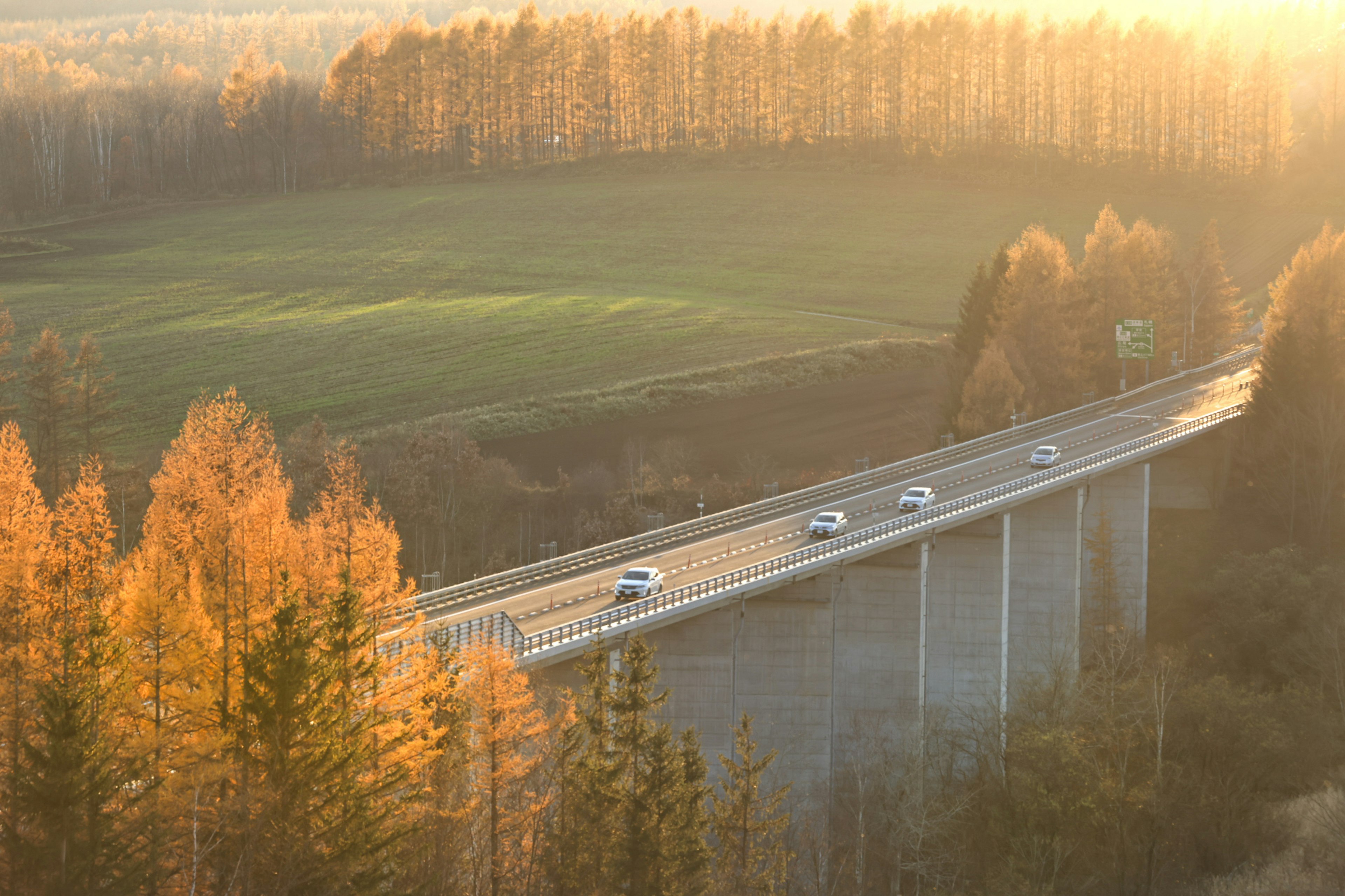 Hochstraße umgeben von Herbstlaub bei Sonnenuntergang