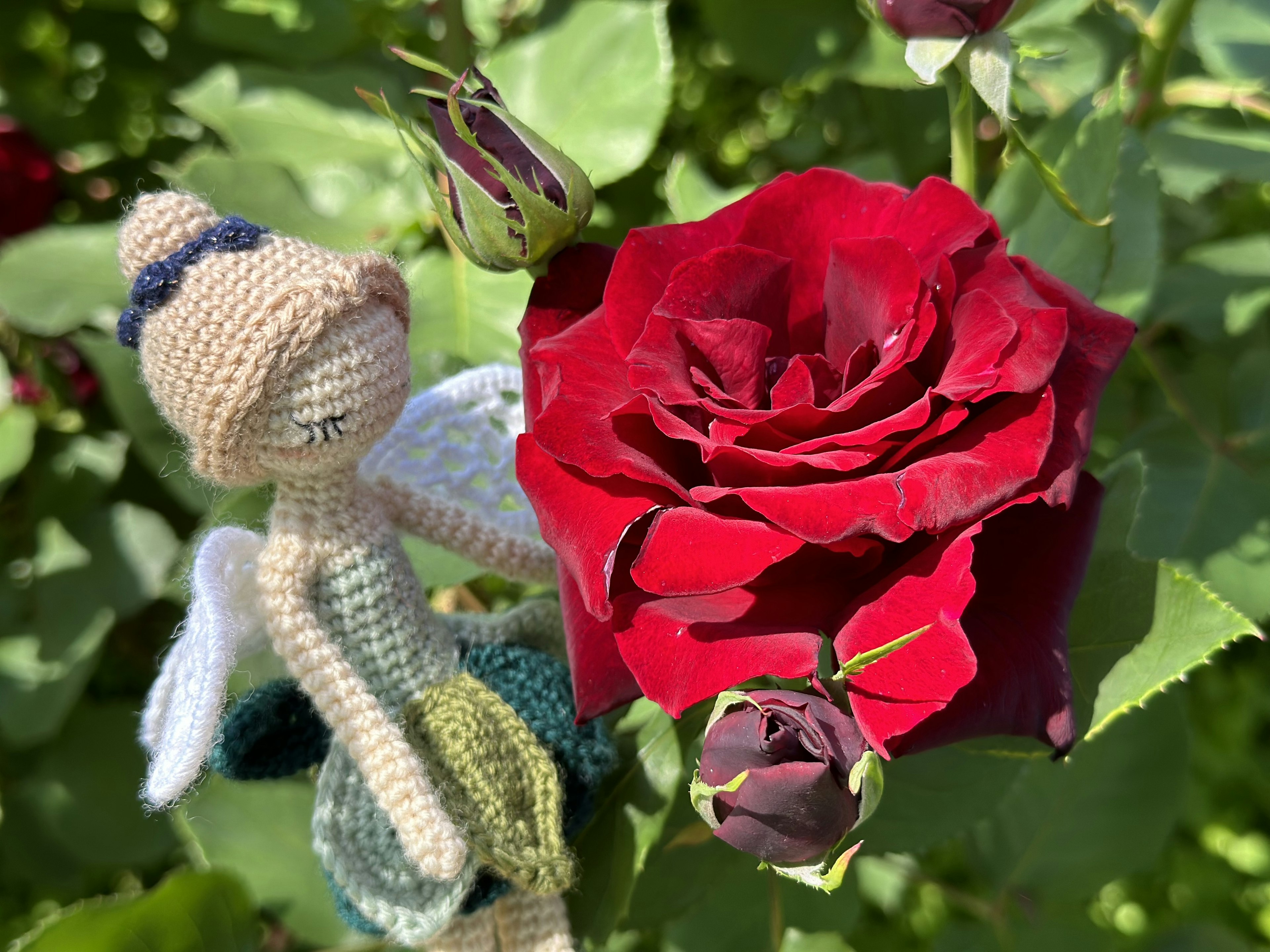 Un hada de ganchillo junto a una vibrante rosa roja con hojas verdes