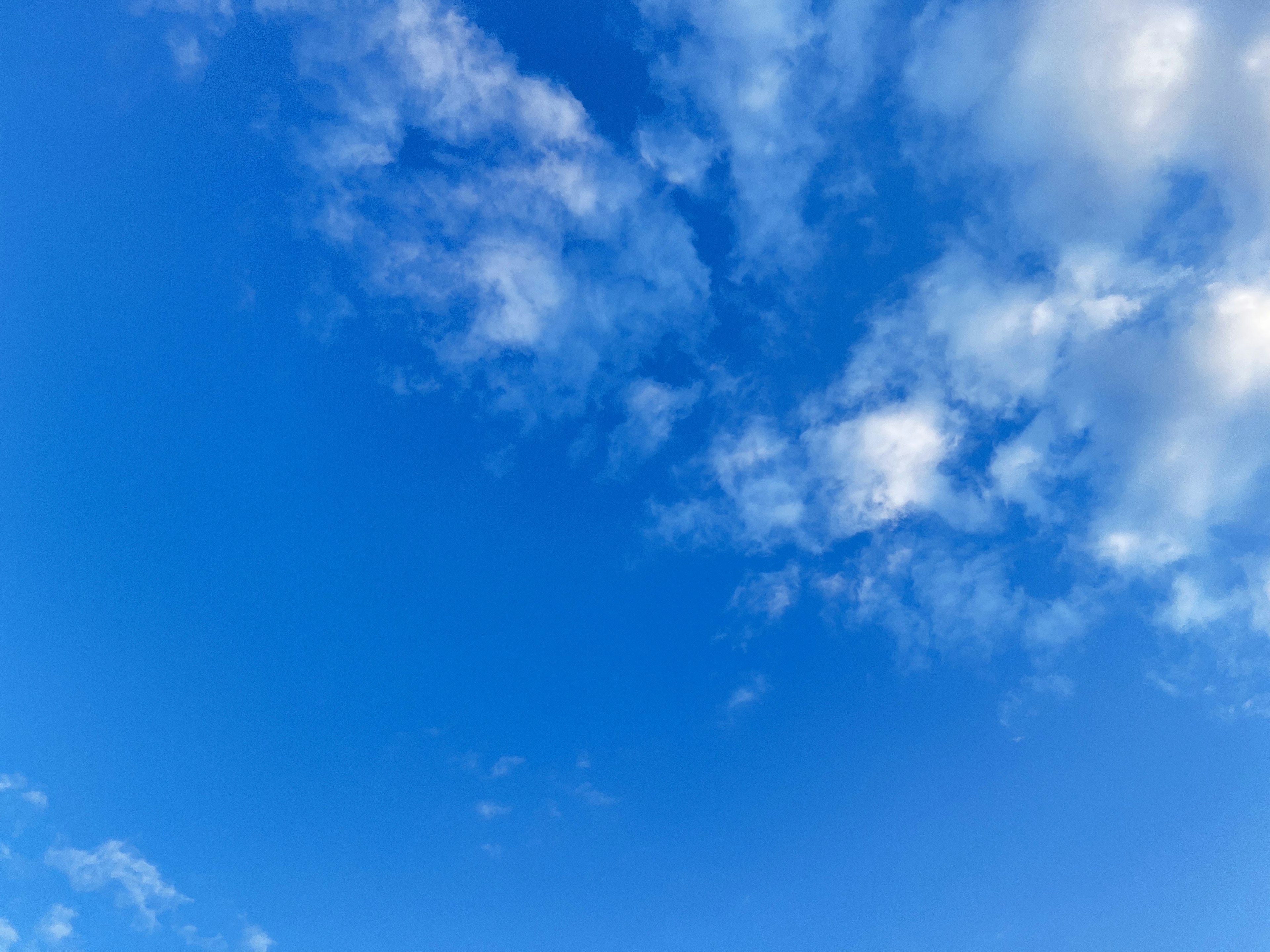 Ciel bleu vibrant avec des nuages blancs duveteux