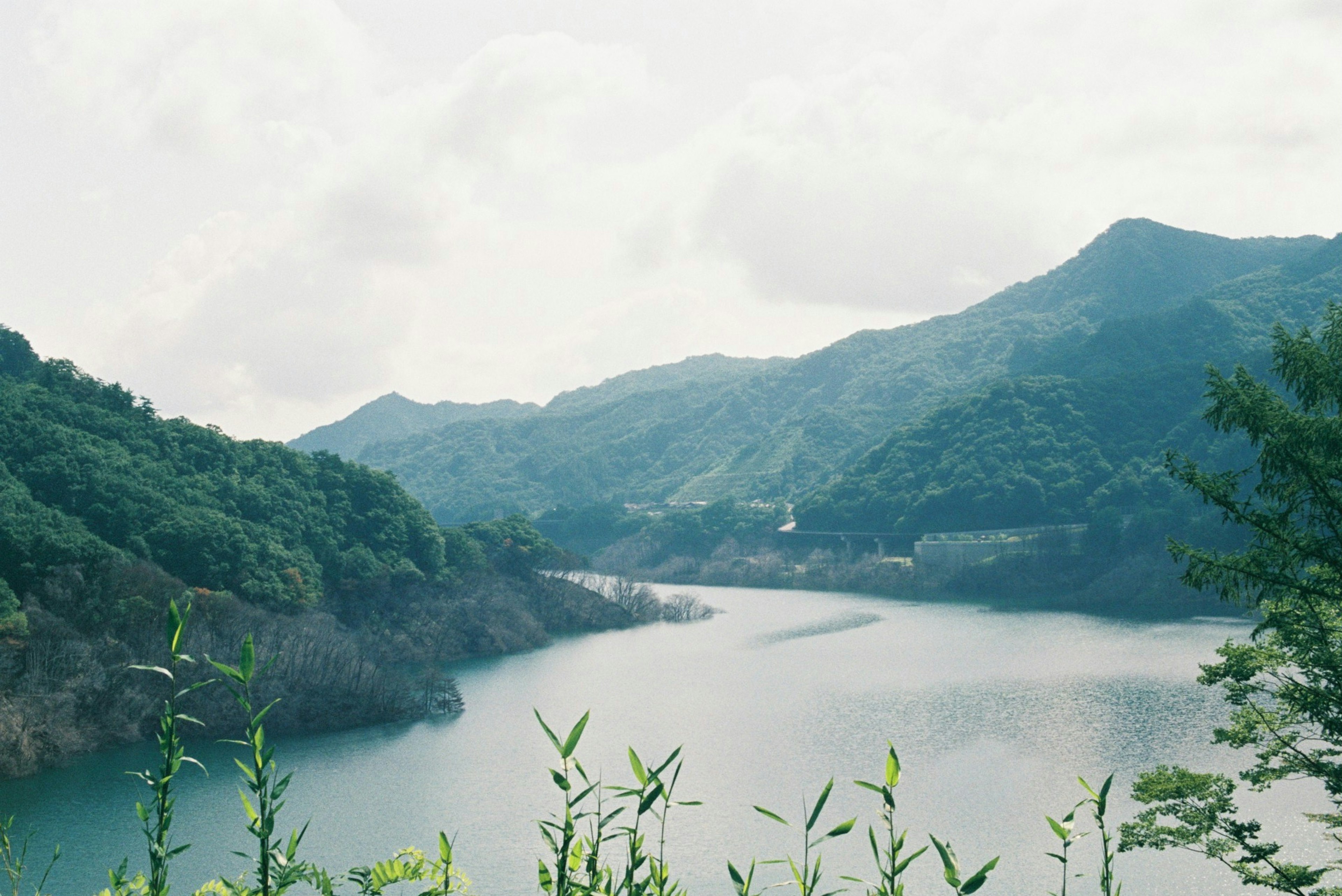 青い湖と緑の山々が広がる風景