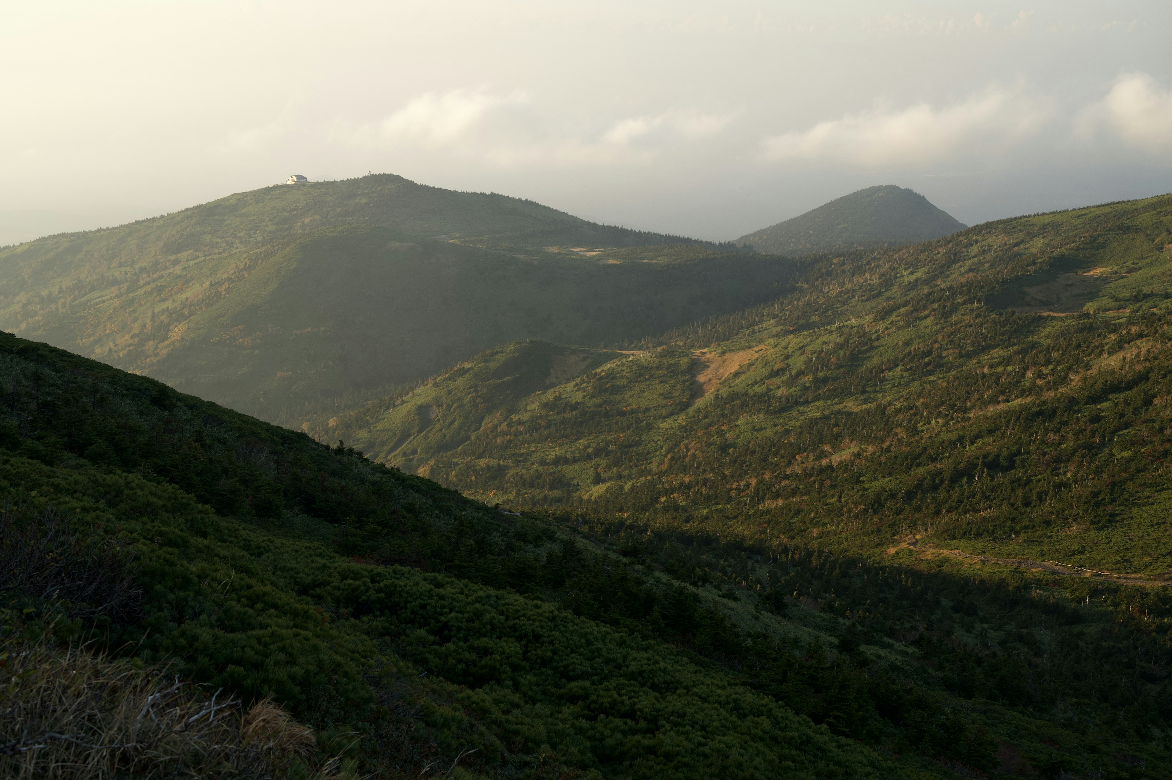 緑の丘と山々が広がる風景 霧の中に包まれた自然の美しさ