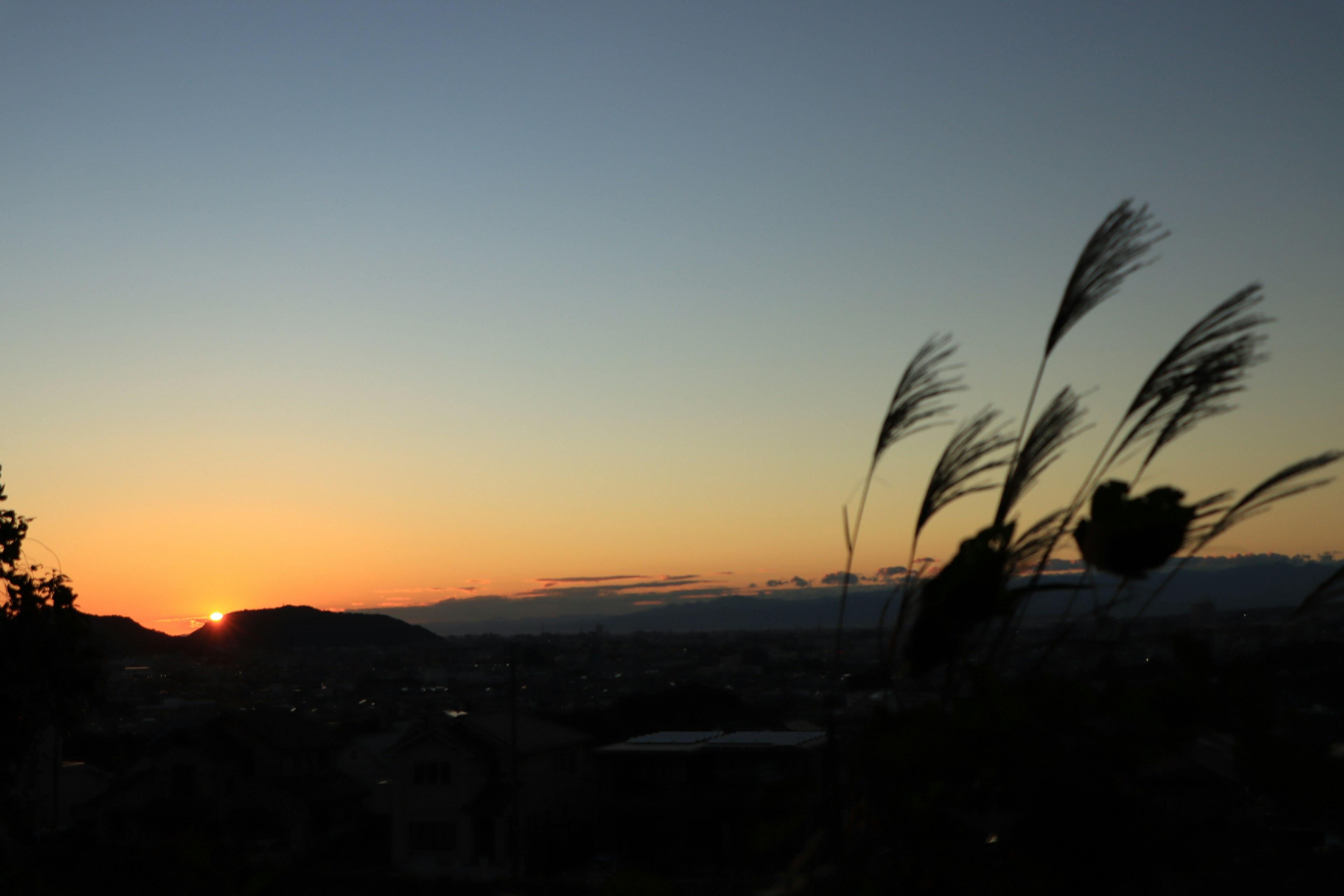 Coucher de soleil sur des collines avec de l'herbe en silhouette au premier plan