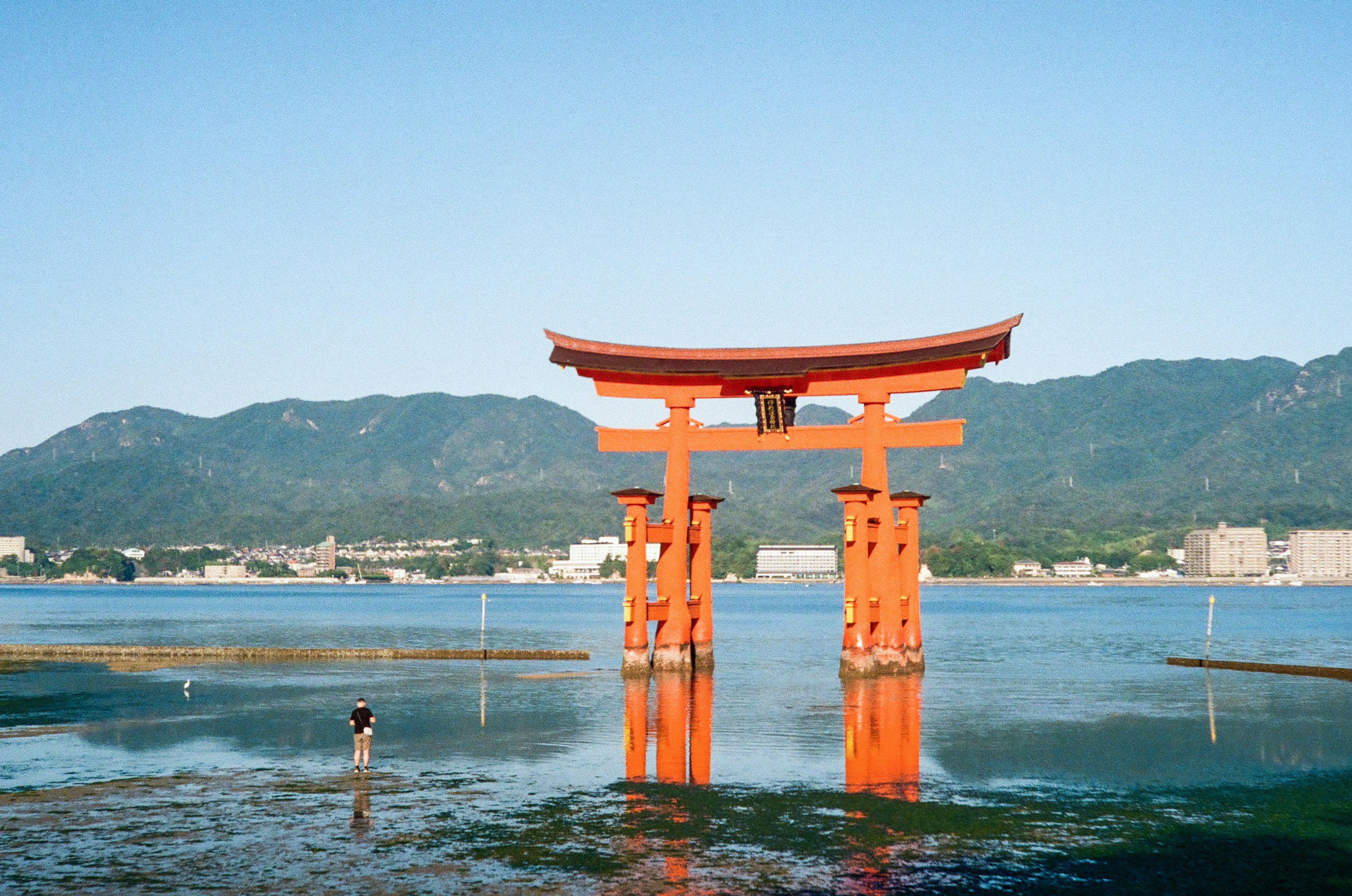 Un grand torii se reflétant dans l'eau sous un ciel bleu clair