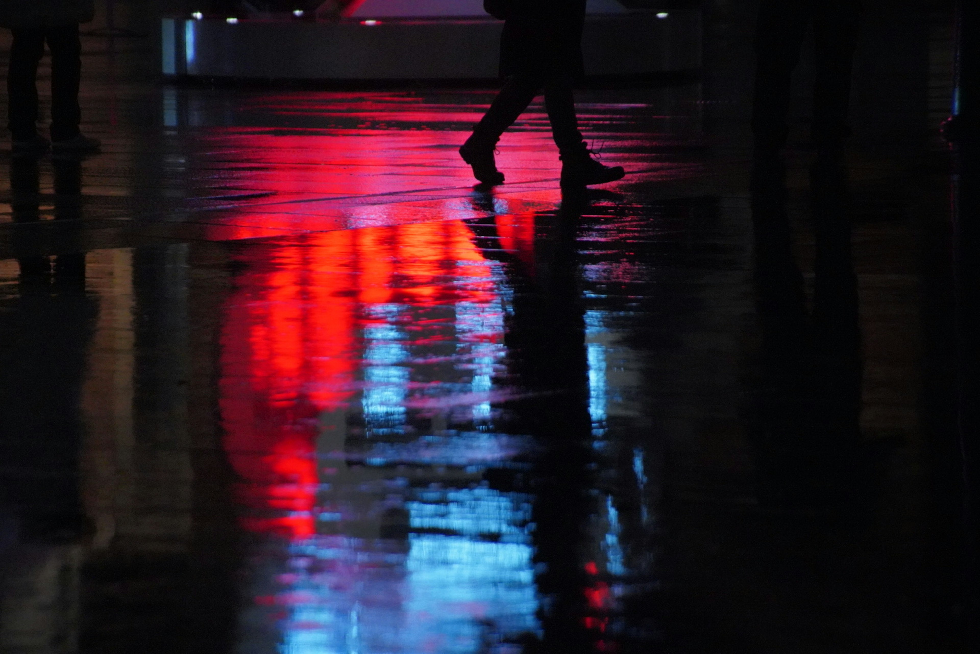 A person walking with reflections of red and blue lights on a wet surface