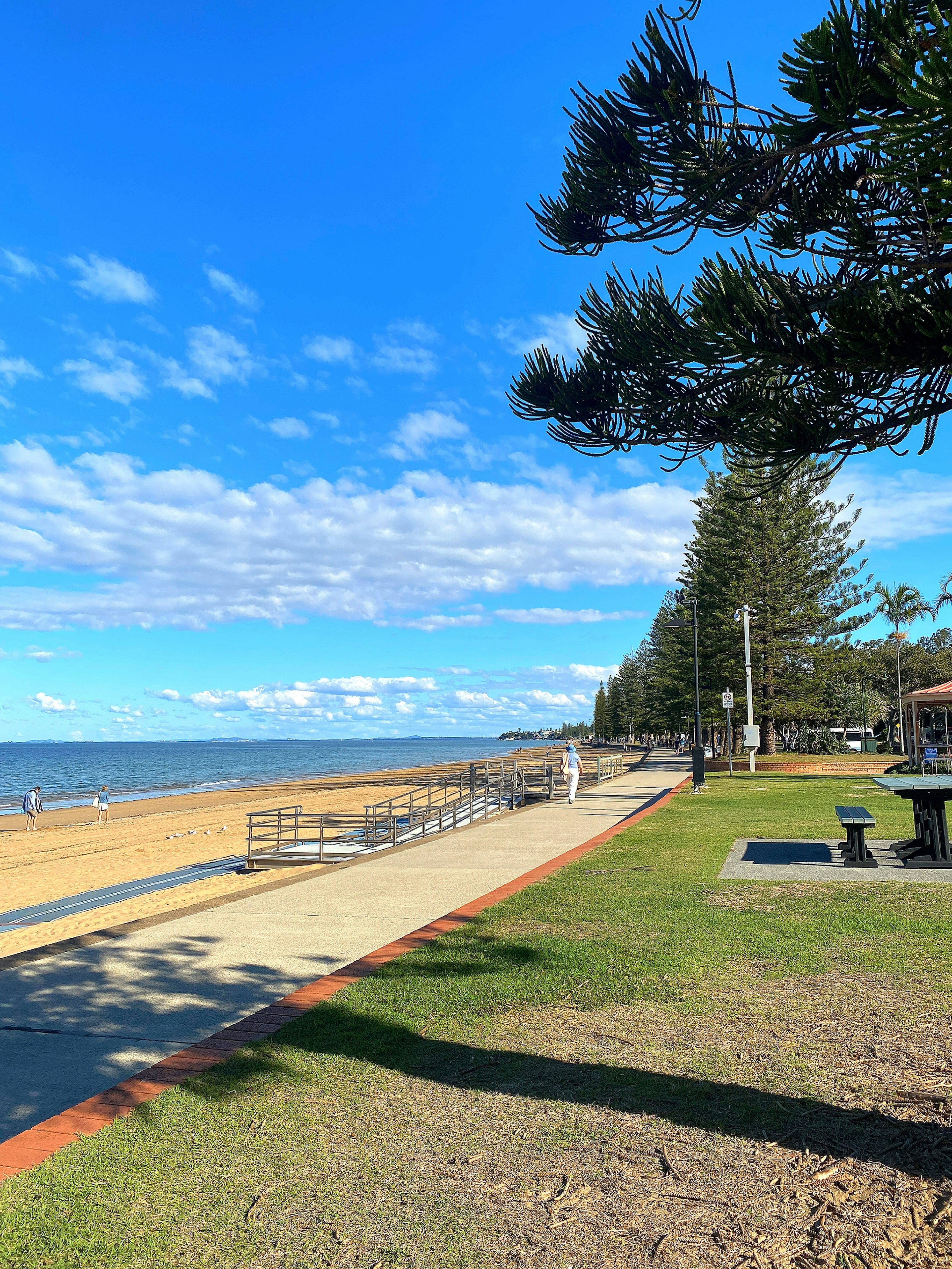 Scenic beach view with blue sky green grass and lined trees along the walkway