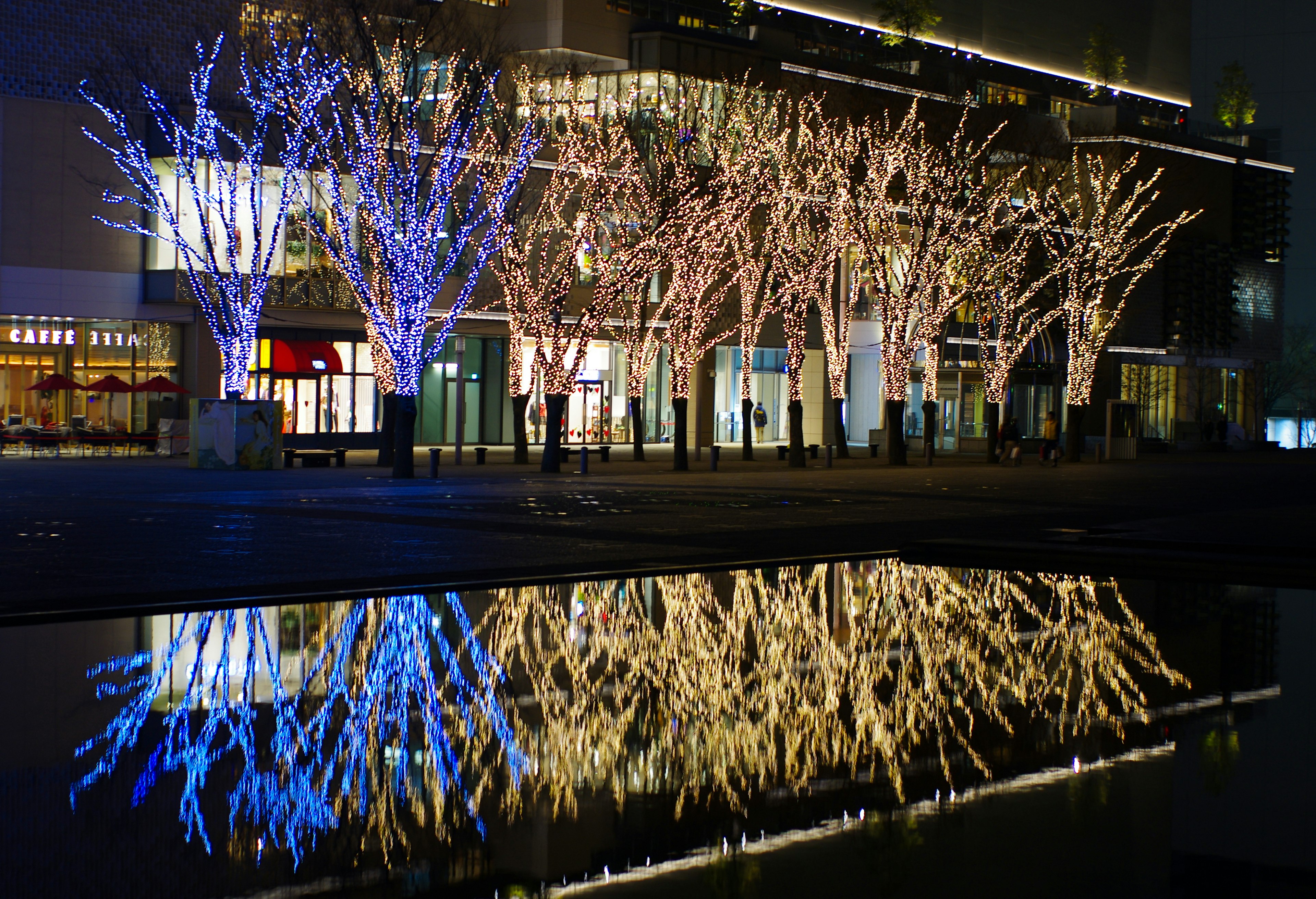 Illuminated white trees reflecting on water at night in an urban setting