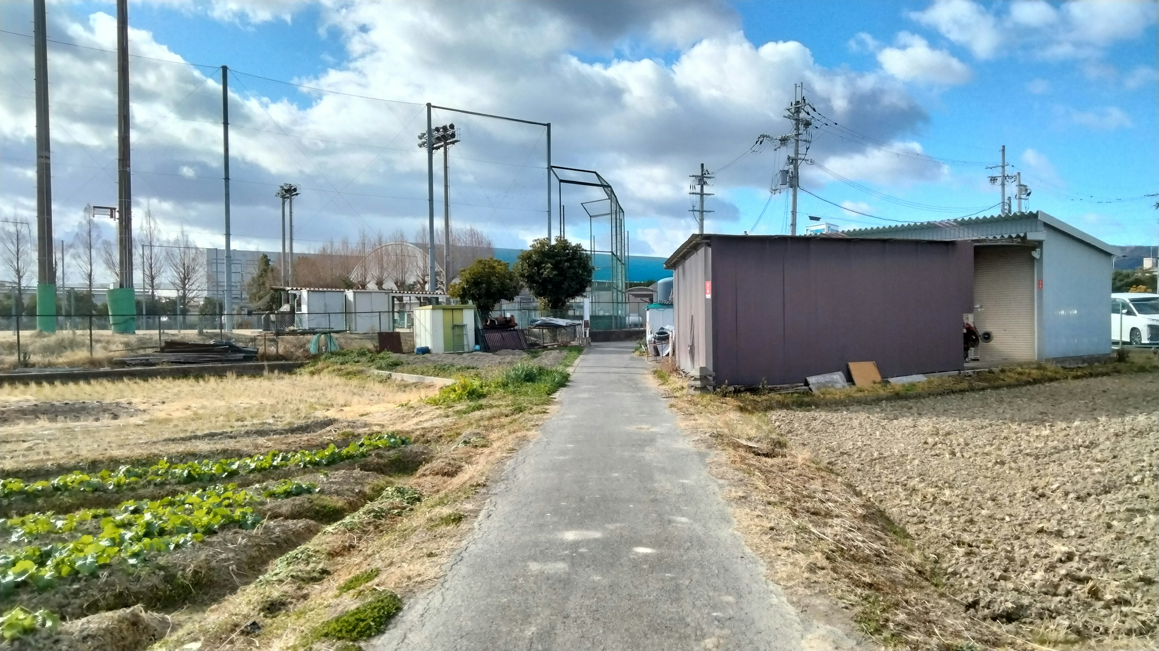 乡村小道旁边是田地和小建筑